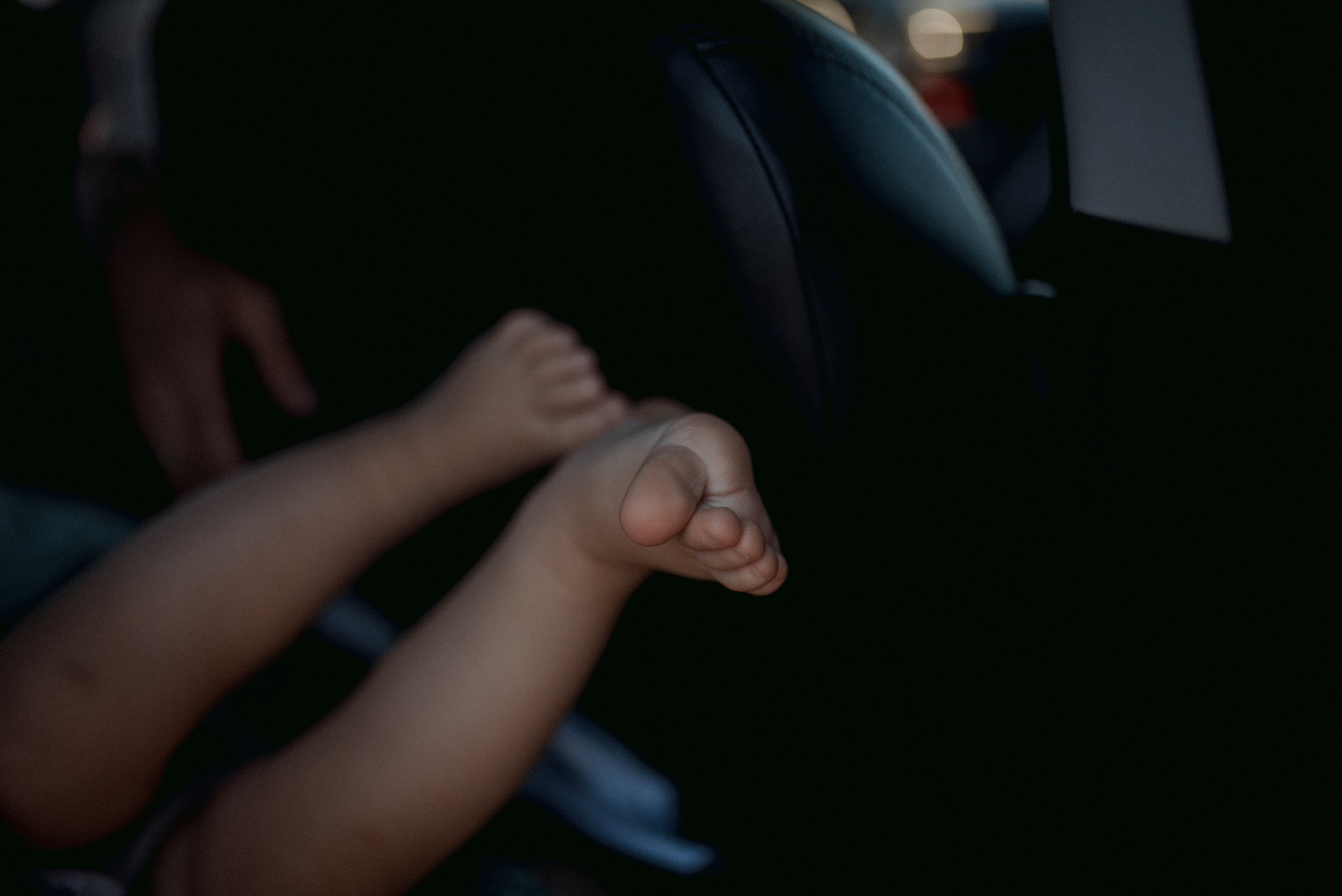 Трое в поле, не считая собаки. Семейный документальный фотограф в Волгограде Мариэта Додина