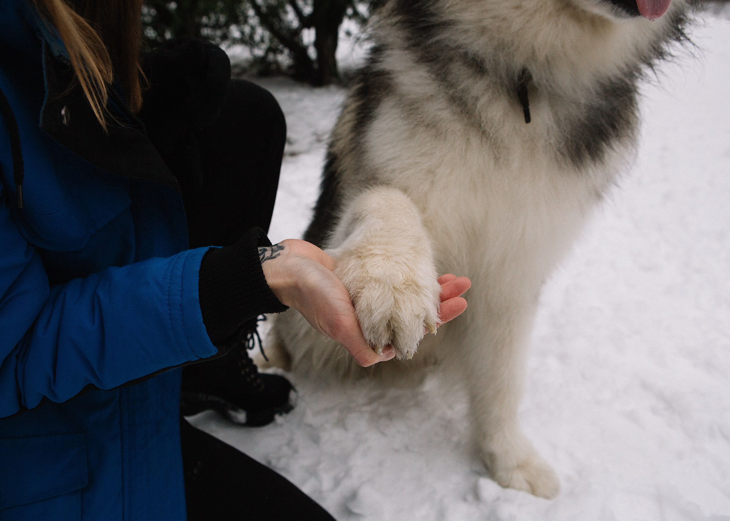 Ольга. Семейный и портретный фотограф в Санкт-Петербурге