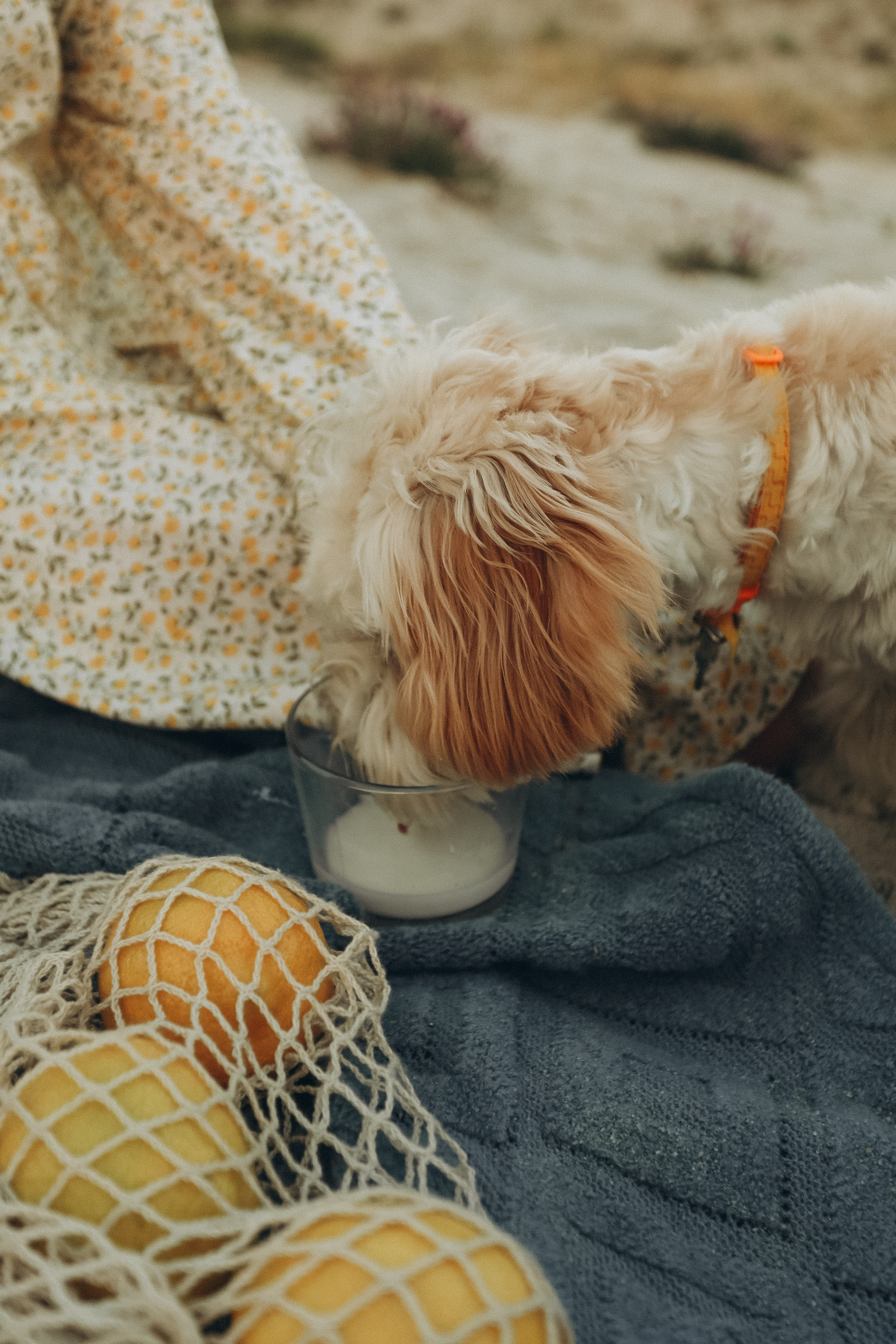Пикник мамы Жени, Артема и Ксюши. Детский фотограф, Волгоград