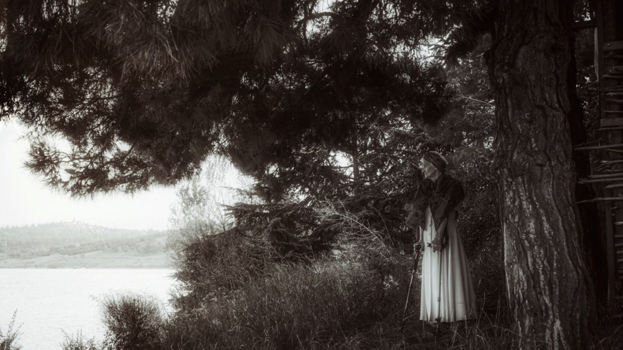 Проект «Кокон» — участник выставки LUX PICTURA в галерее Art Maison. Ekaterina Beridze