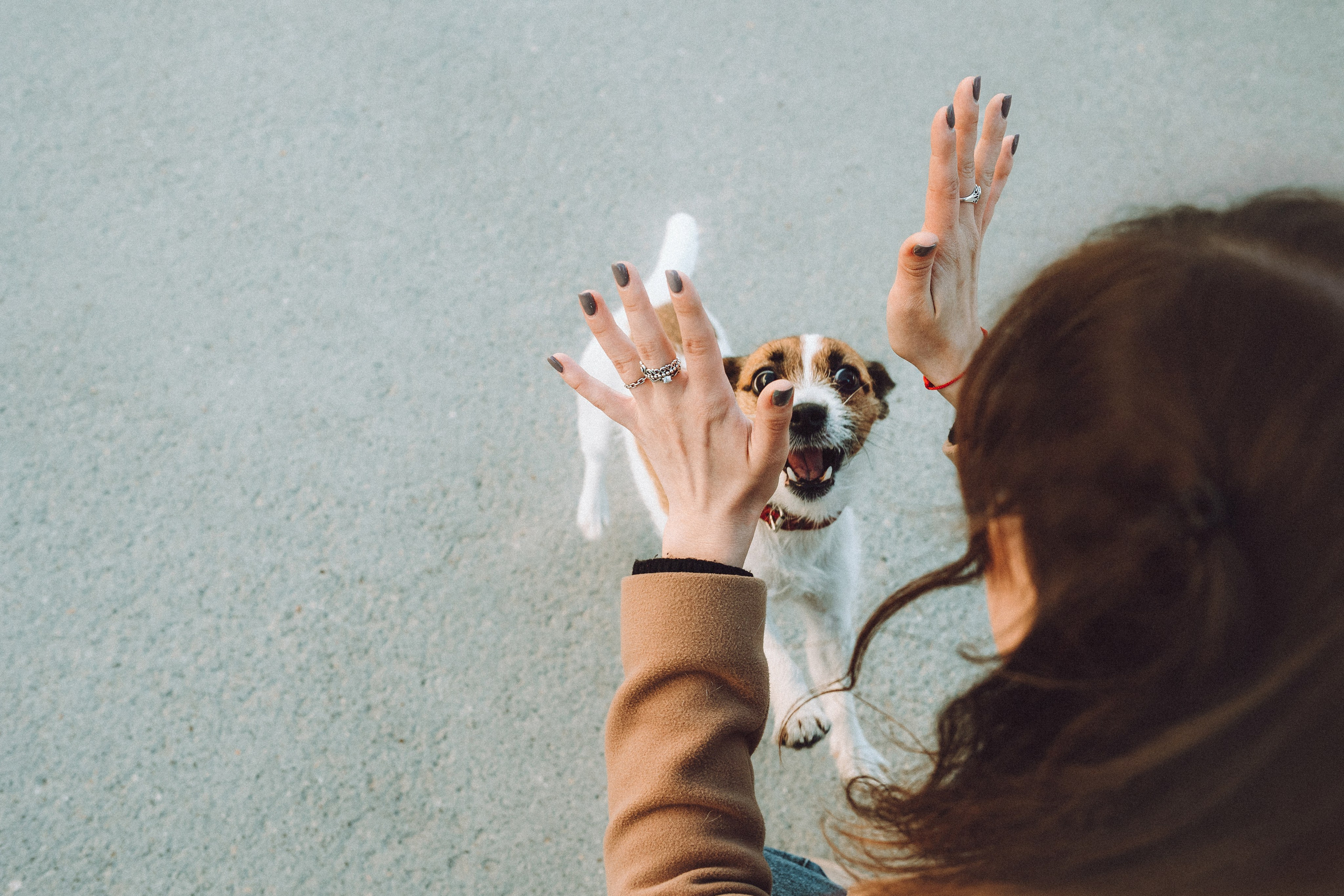 Лера и Рада