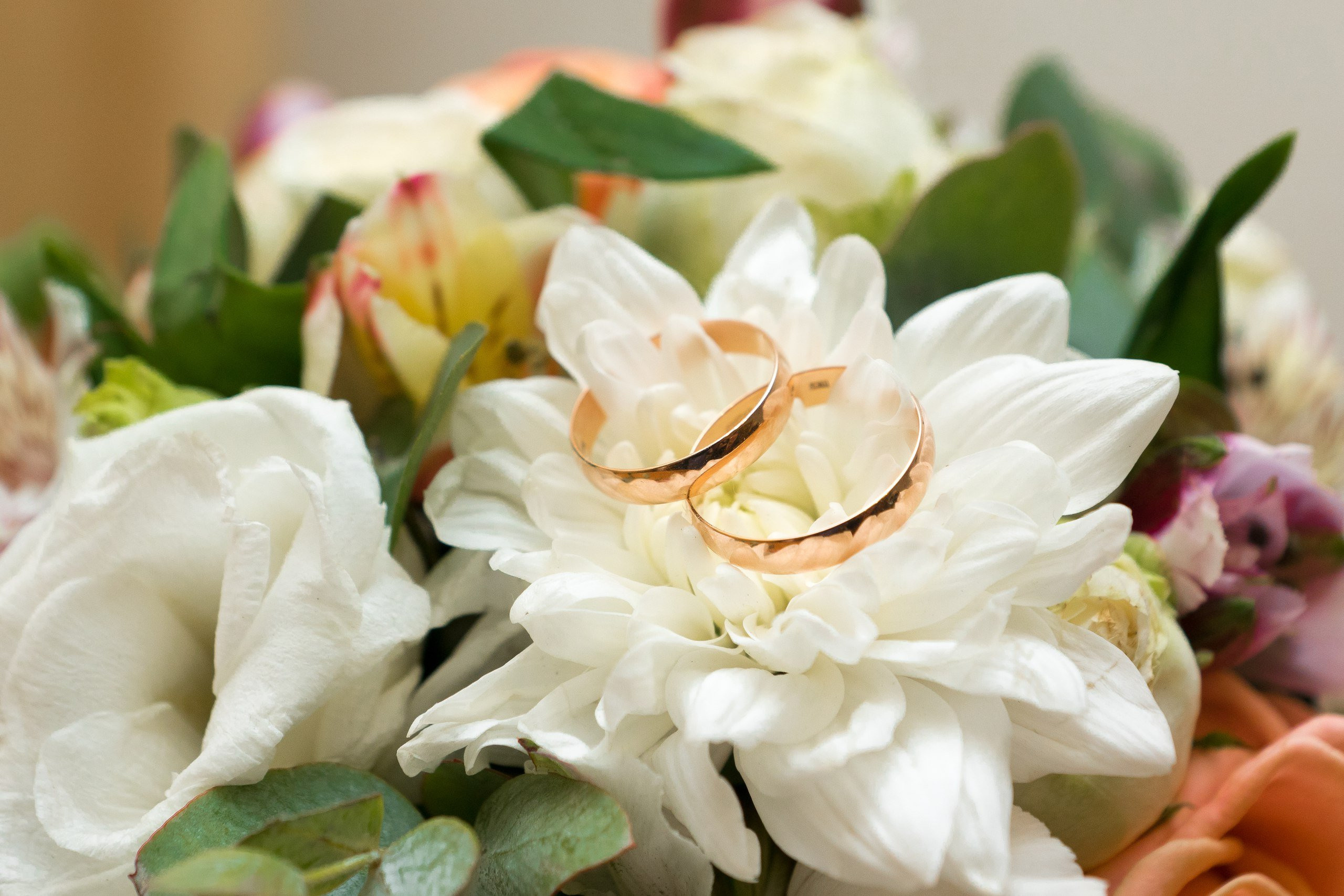 Выездная регистрация. Семейный фотограф Владимир Просвиркин. г. Самара