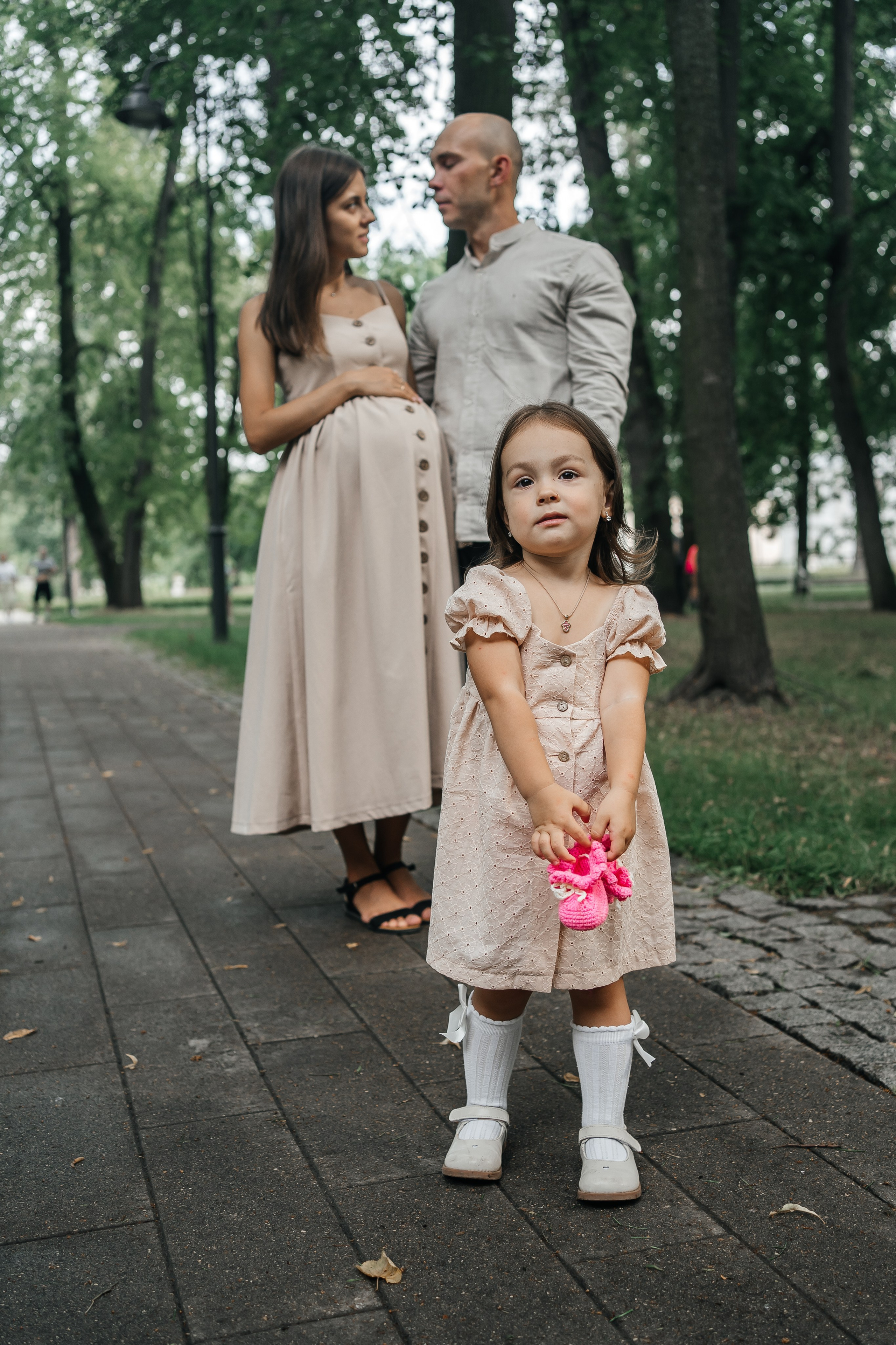 Абиша и Илья