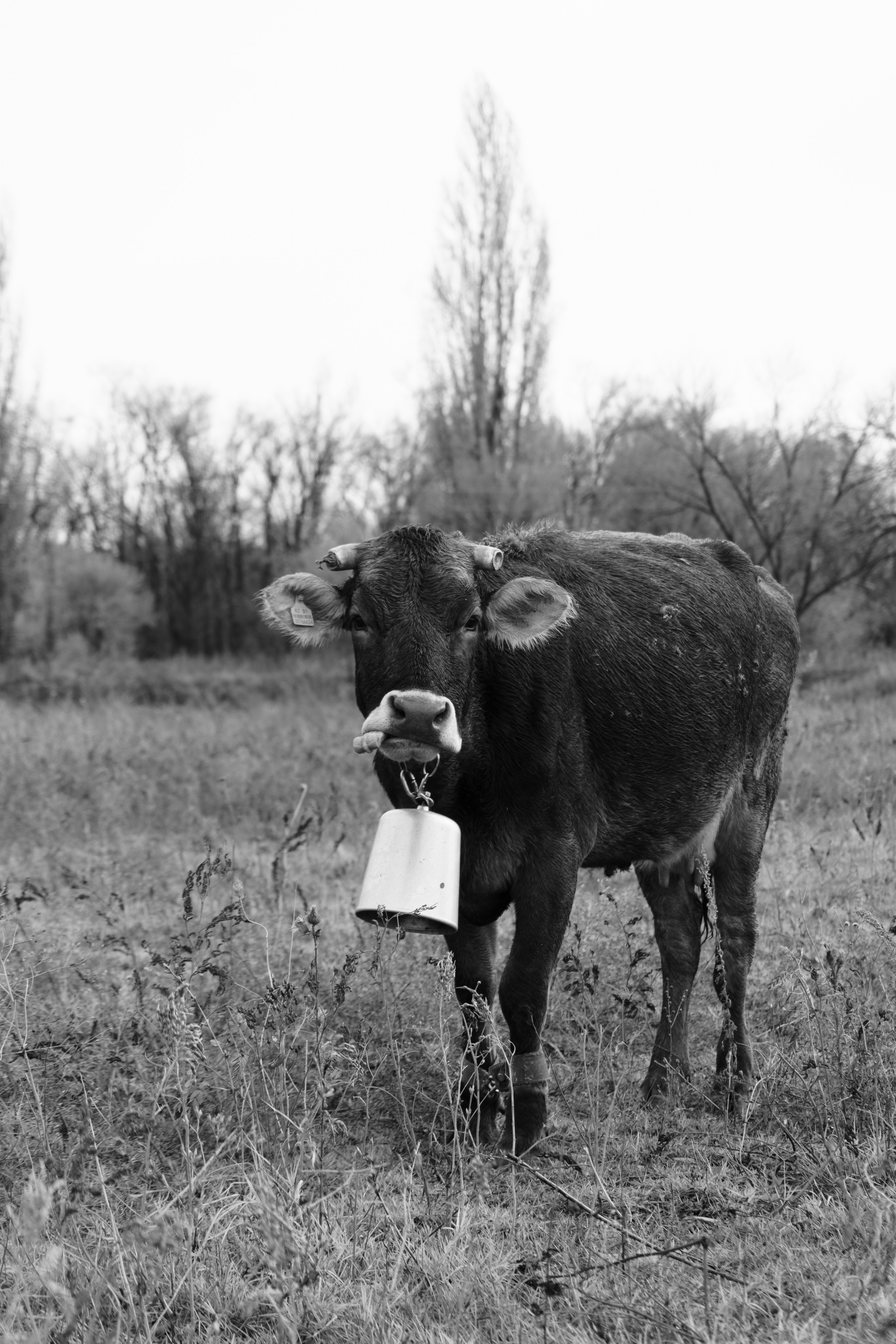 Бекстейдж сьемки кино. Профессиональная съемка в Алматы