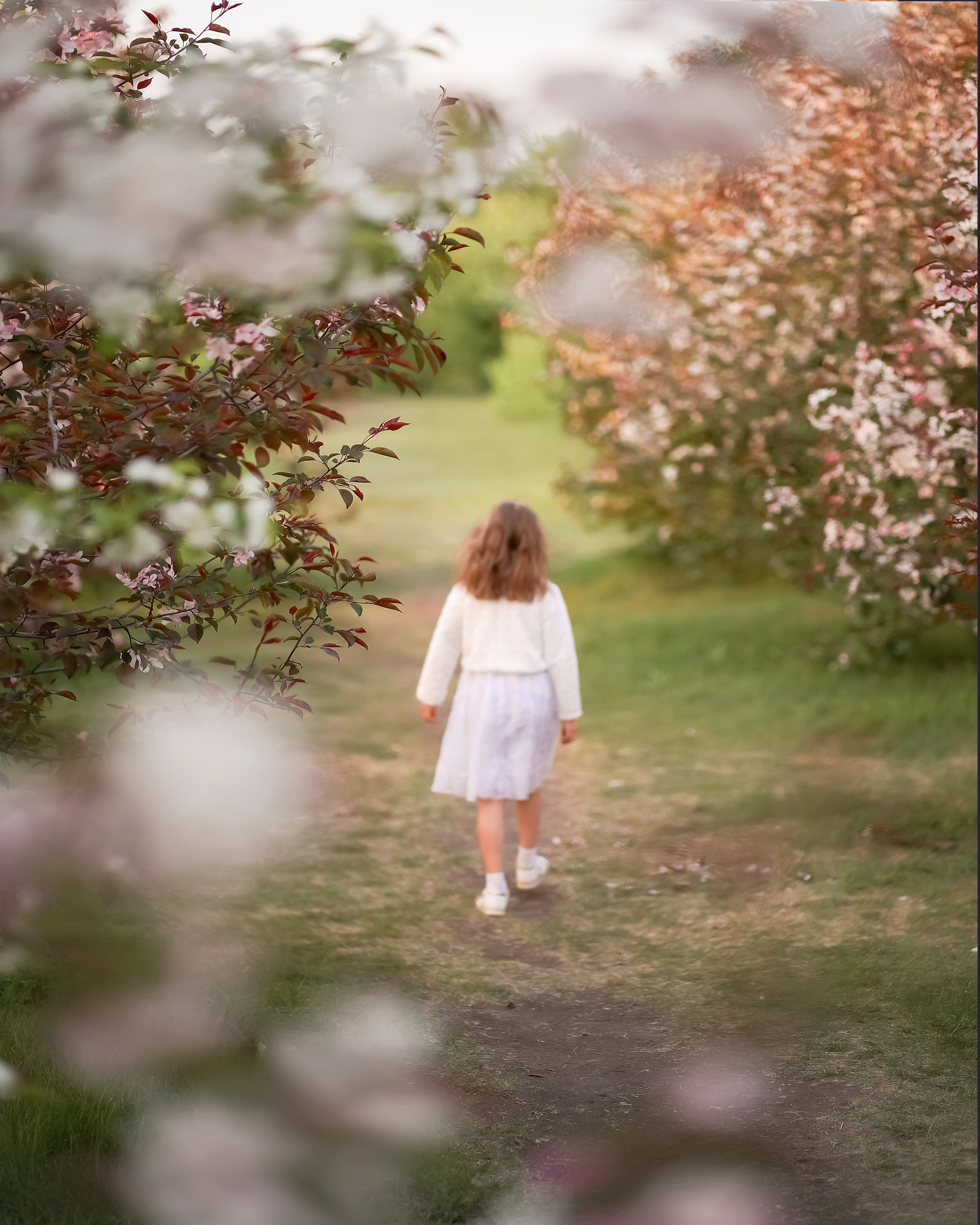 Цветение. Фотограф Татьяна Митрофанова