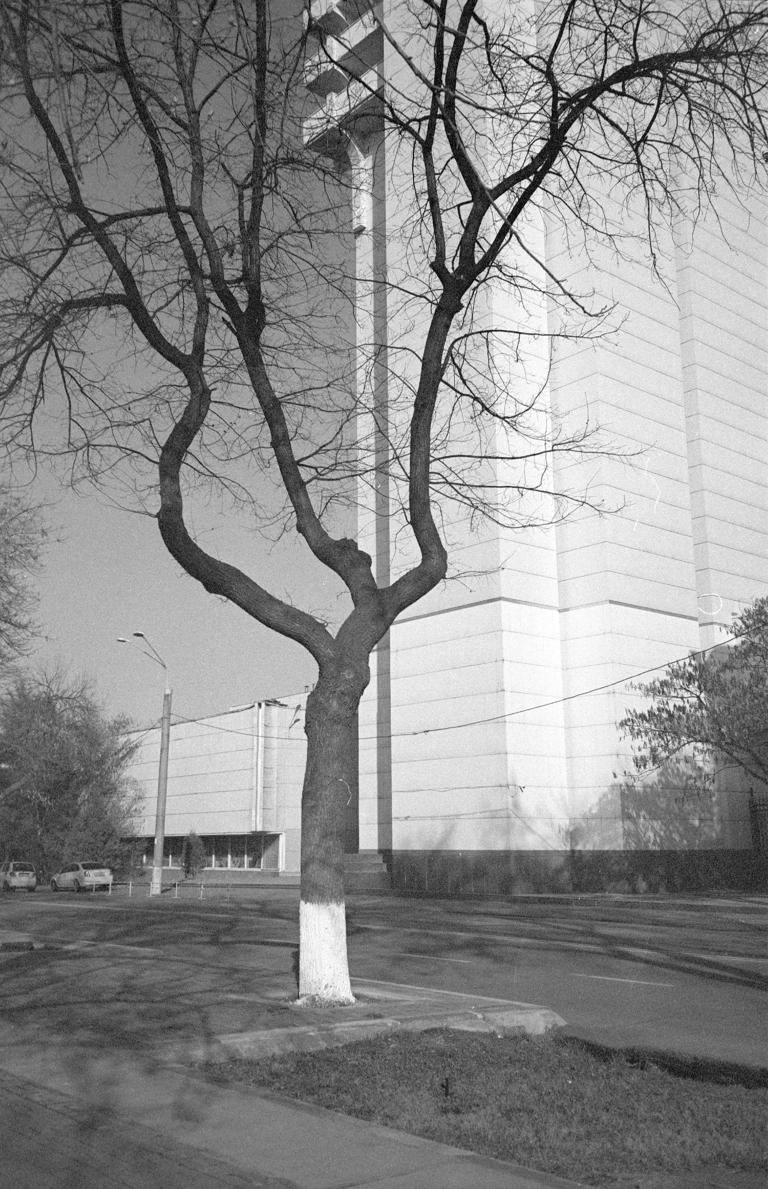 Tashkent 2022-2023. Dima Voronetsky