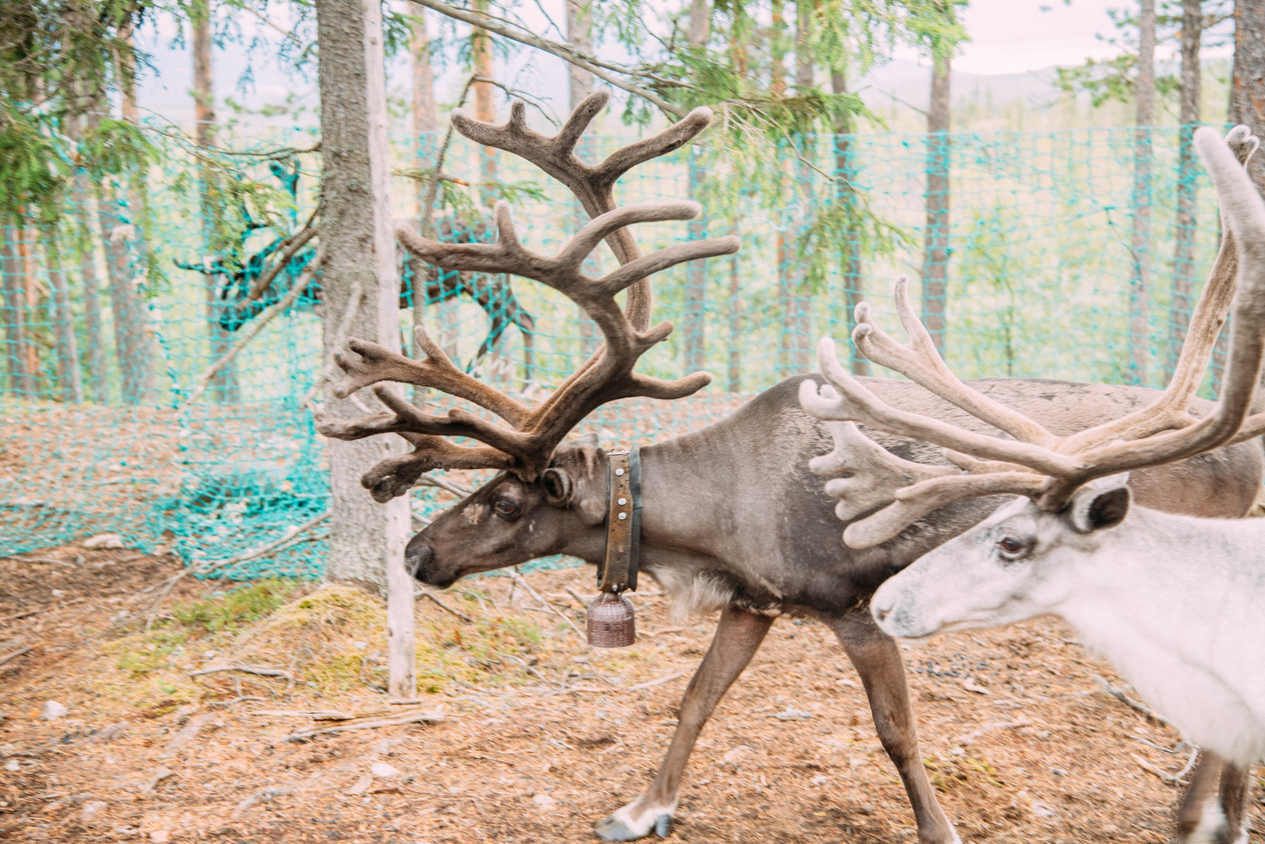Кольский полуостров. Фотографирую для себя, своей семьи и друзей!
