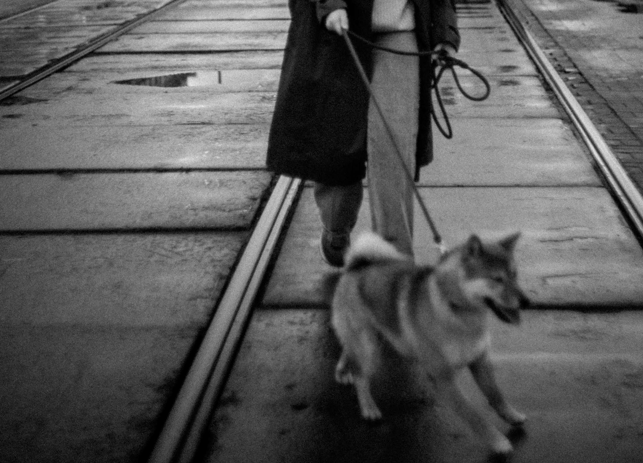 Tears and laughter. AleSeeva