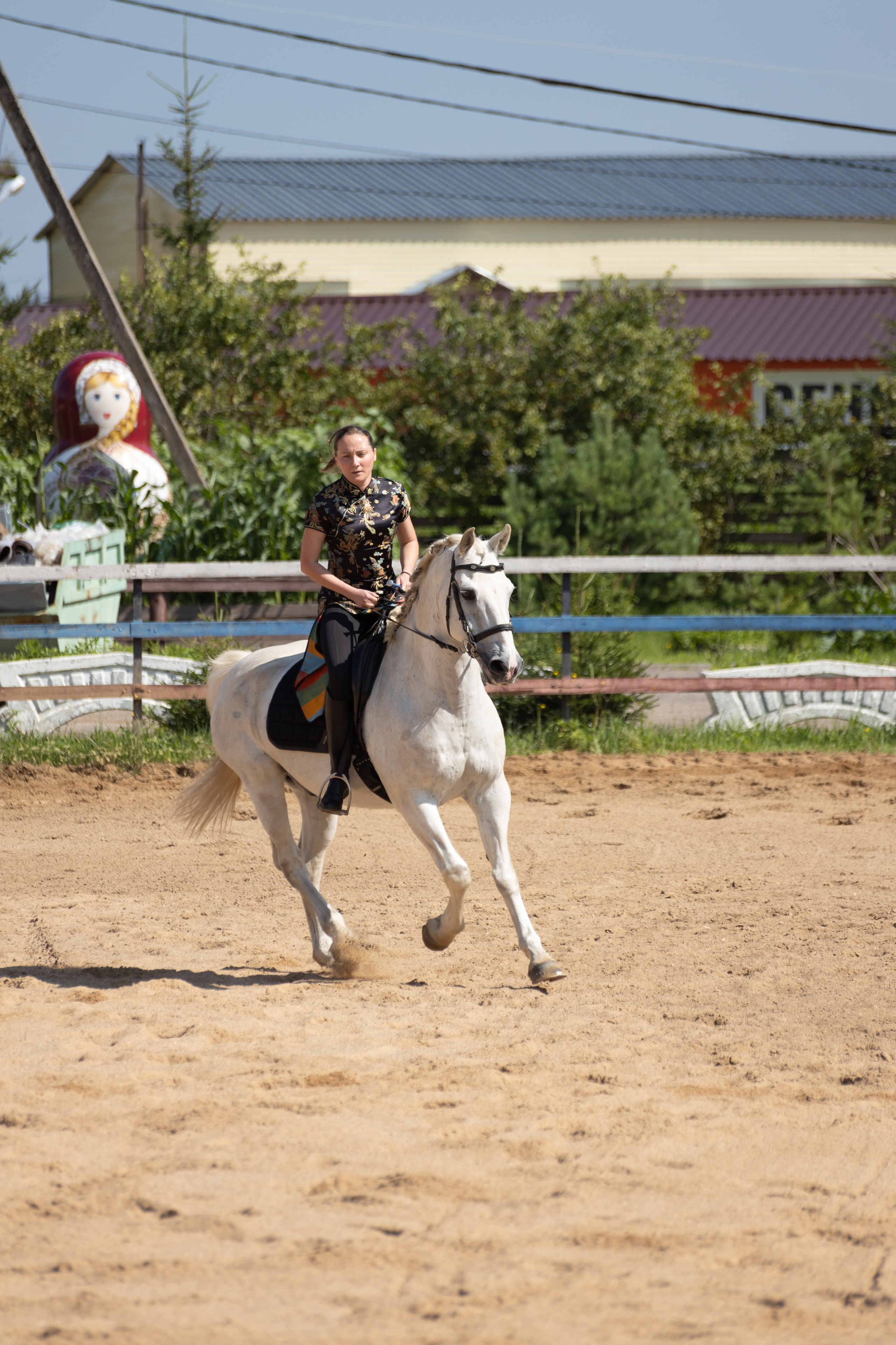 Конюшня. Фотограф в Москве и Истре