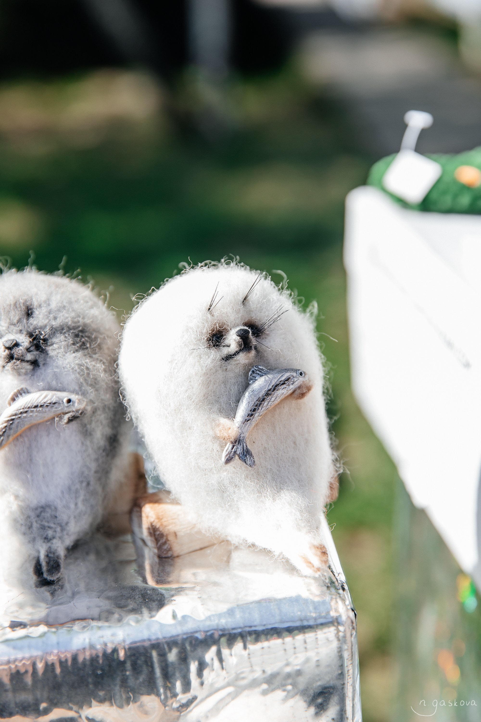 Маркет на Ангаре. Фотограф в Иркутске Настя Гаськова