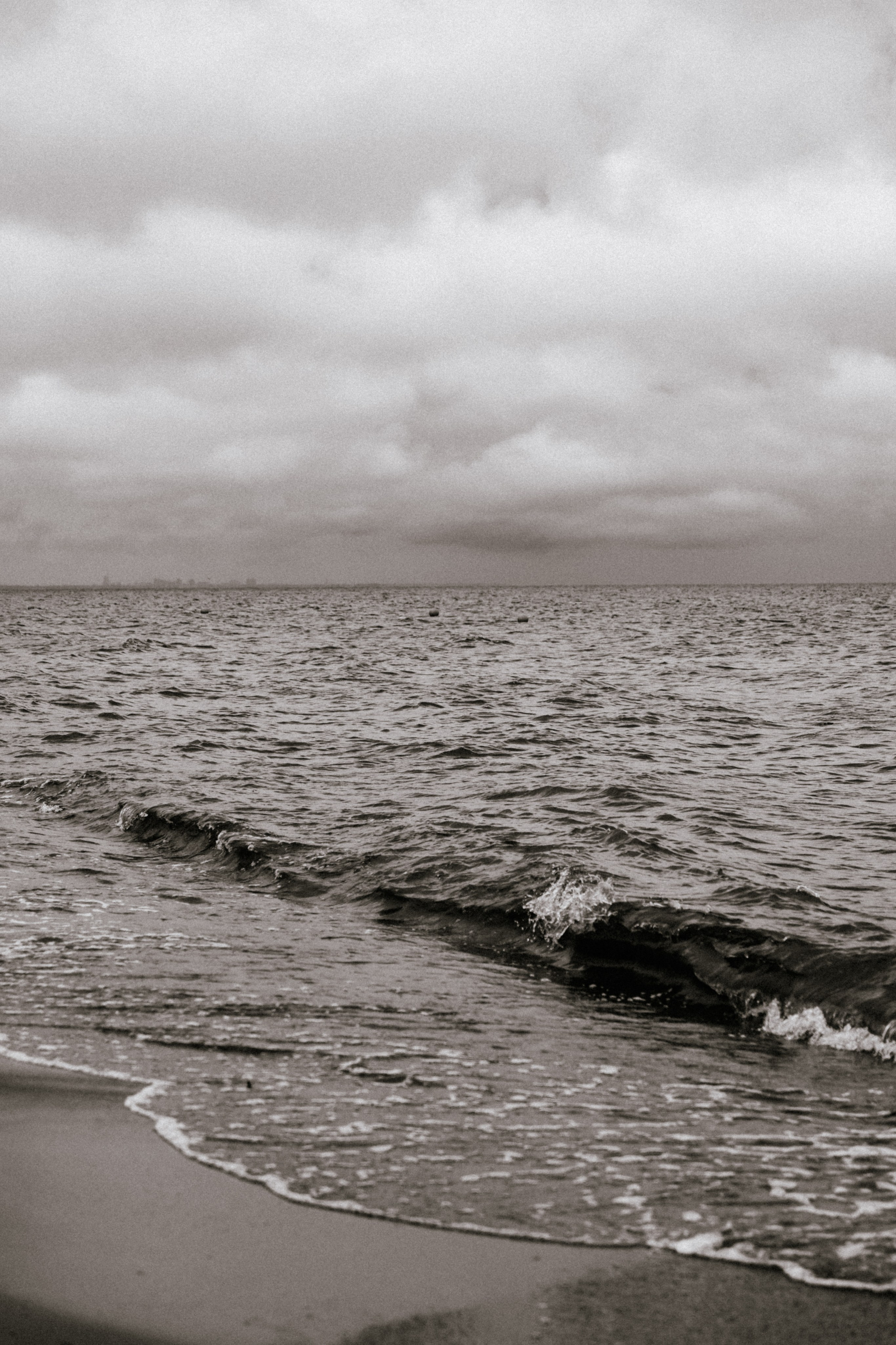 D & N. Фотограф Санкт-Петербург/Гомель Виктория Петрова