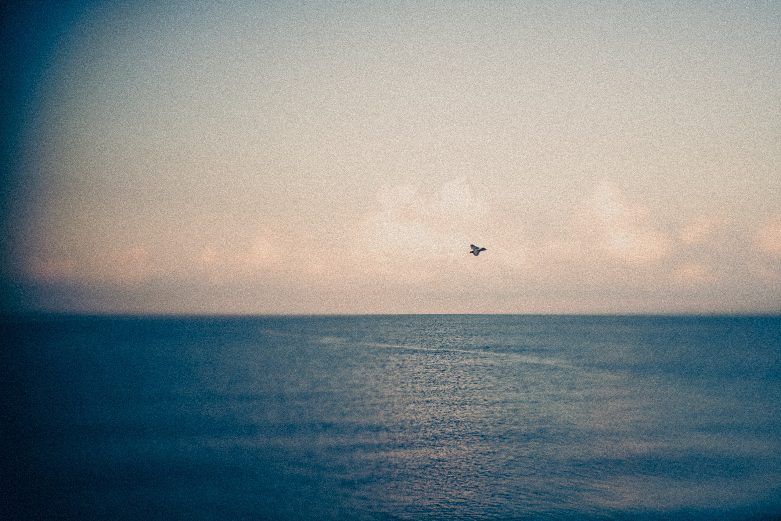 Вдохновляясь эстетикой моря. Фотограф * Вячеслав Скоробогатов * Визульный Артист