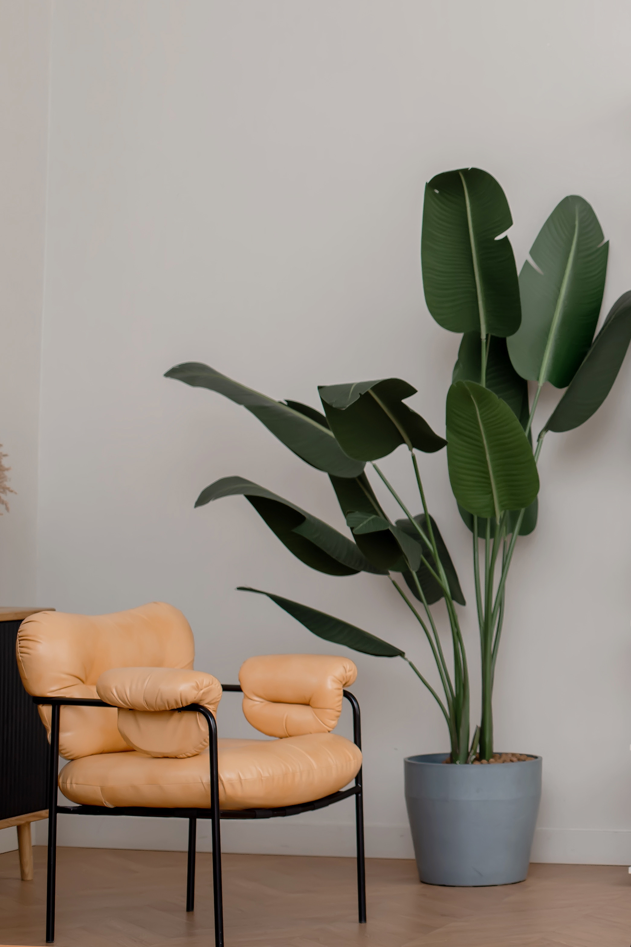 Контент-фотосессия для психолога. Фотограф • Фототерапевт г. Москва