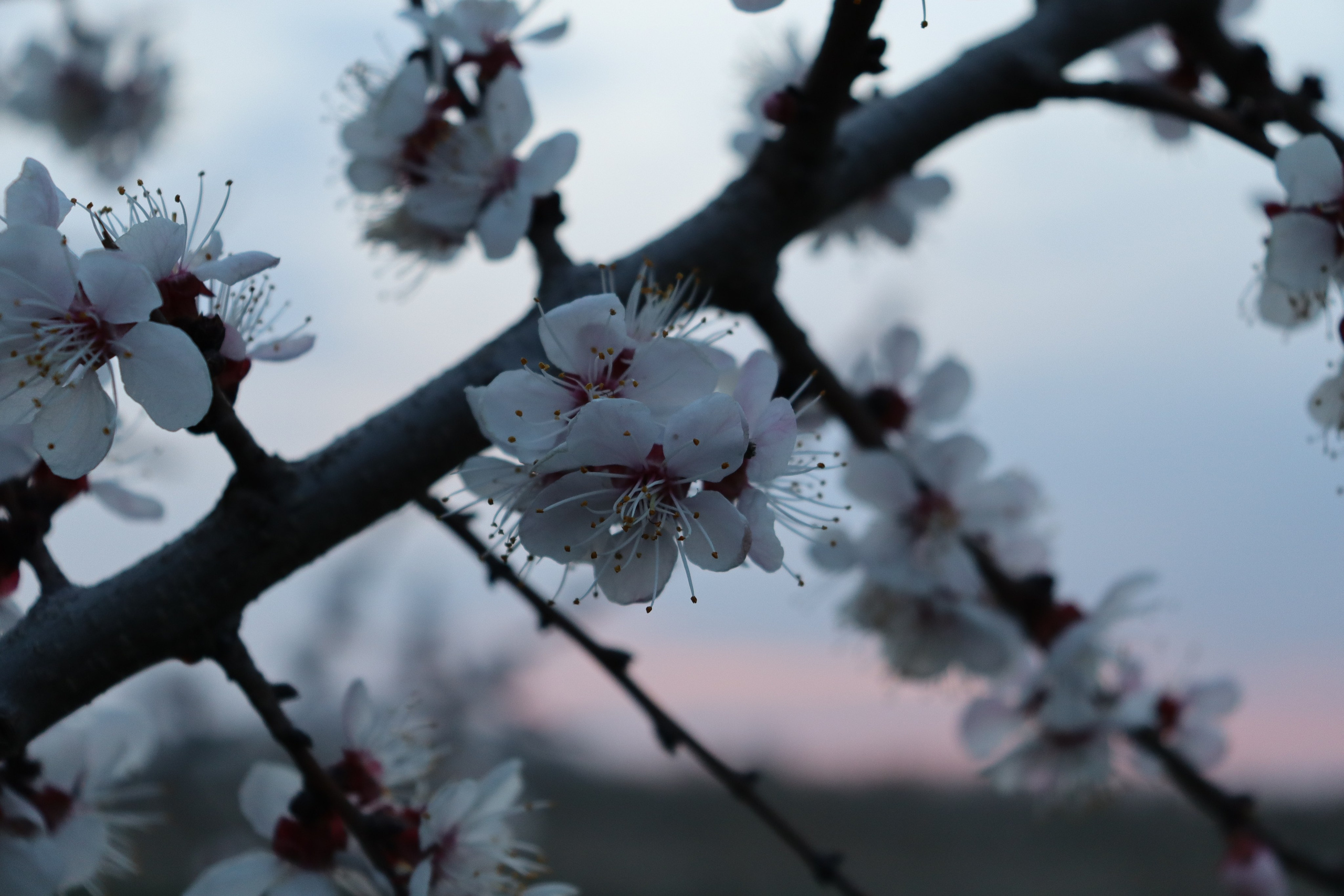 Muras-resort. Фотограф