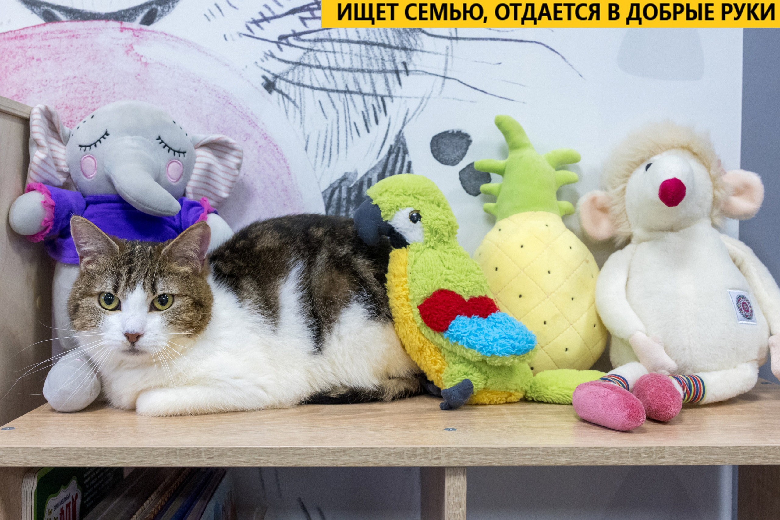 Рекламная съемка в Москве. Геннадий Степанов —фотограф в Москве
