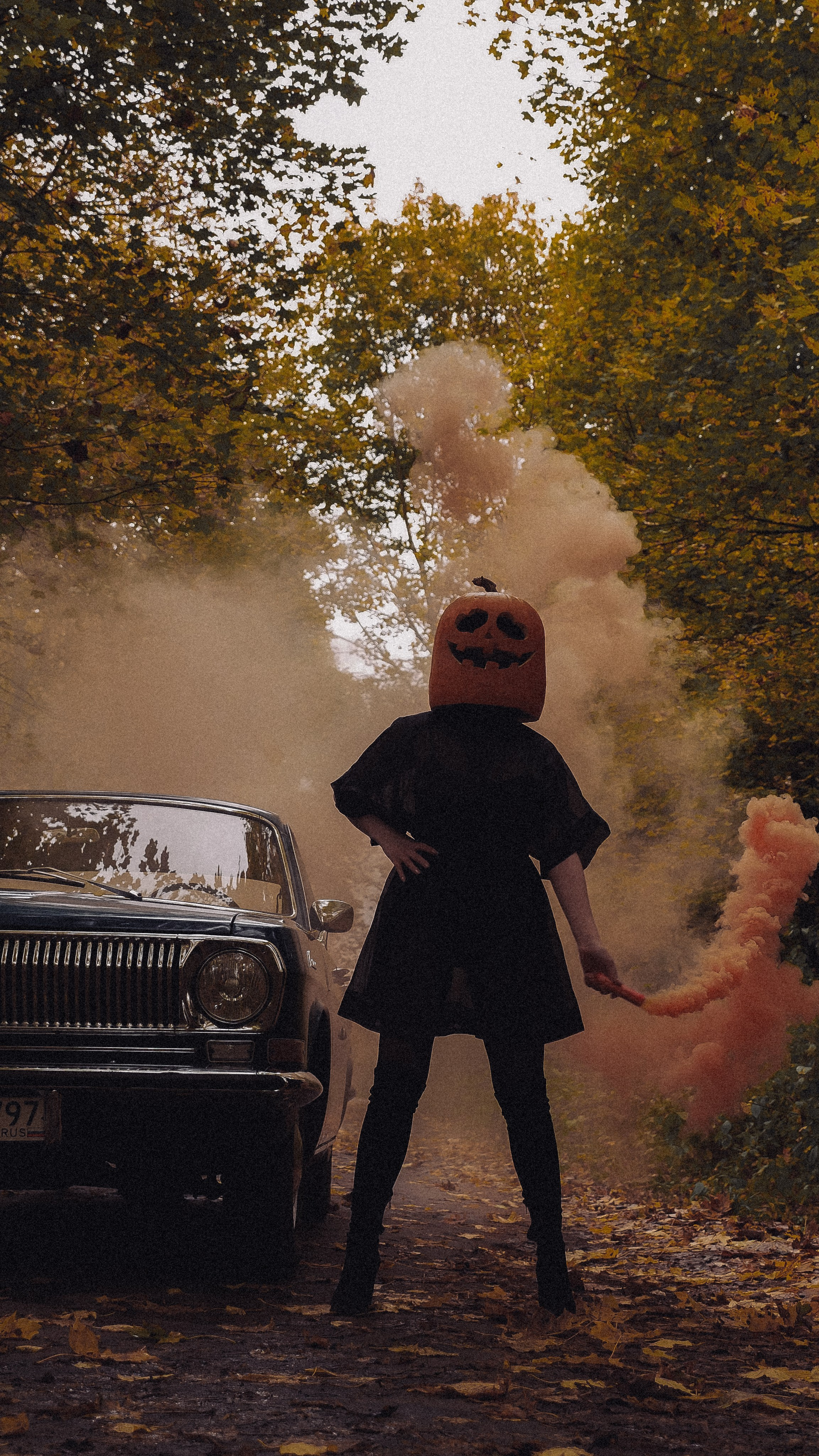 Halloween. Дарья Мейкер • Фотограф в Санкт-Петербурге