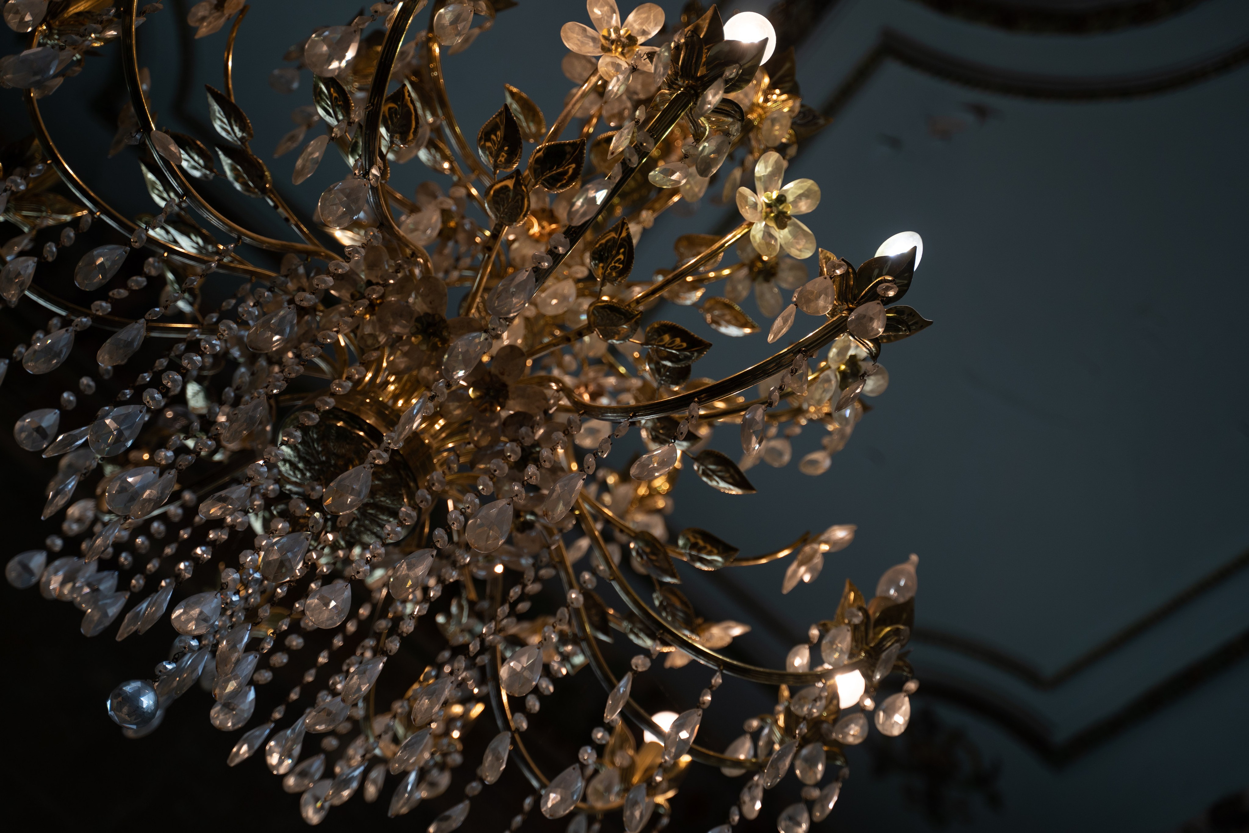 The Secret Garden. Портретный фотограф в Краснодаре Валерия Матирная