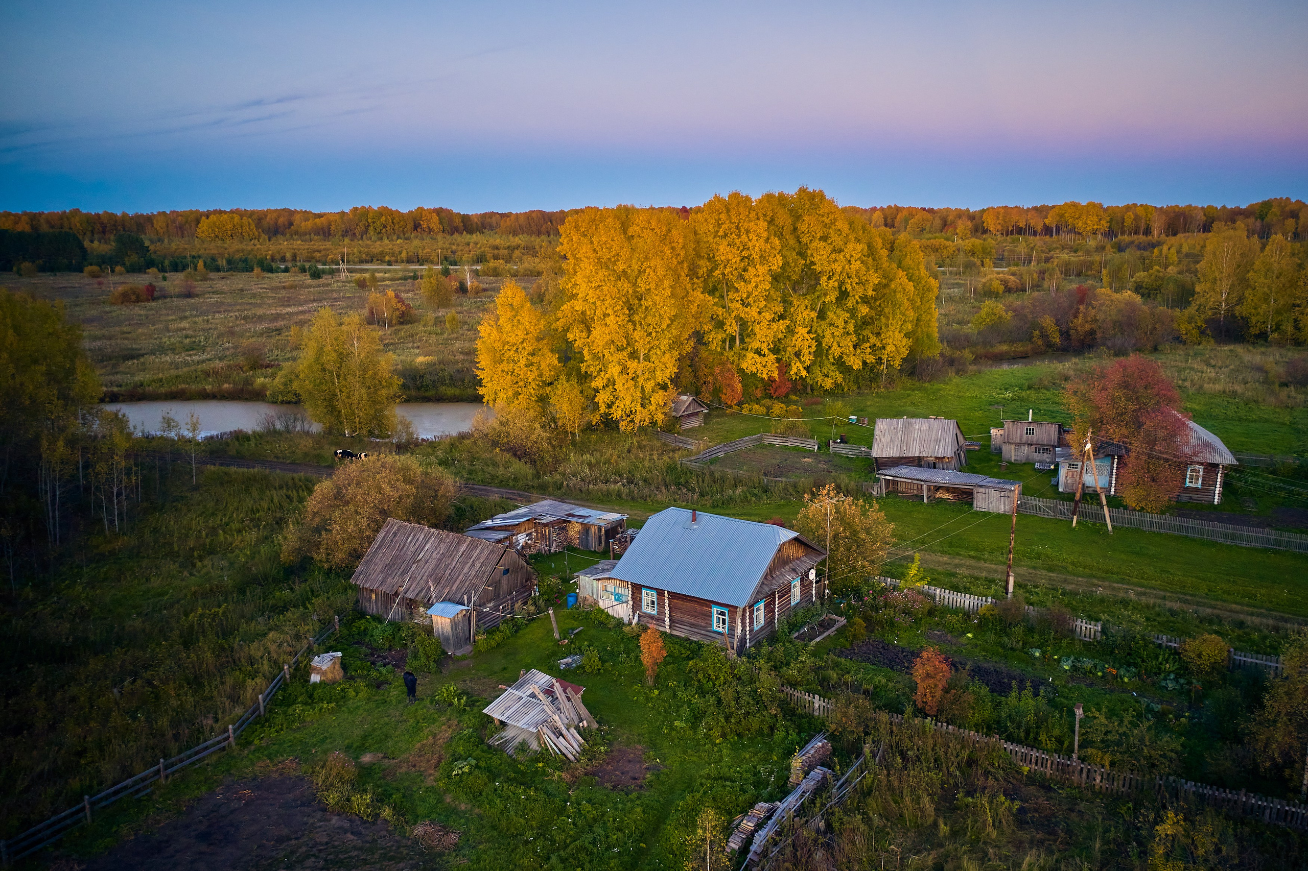 Фото с птичьего полета. DMITRY MOISEENKO — фотограф, художник, топ-стилист