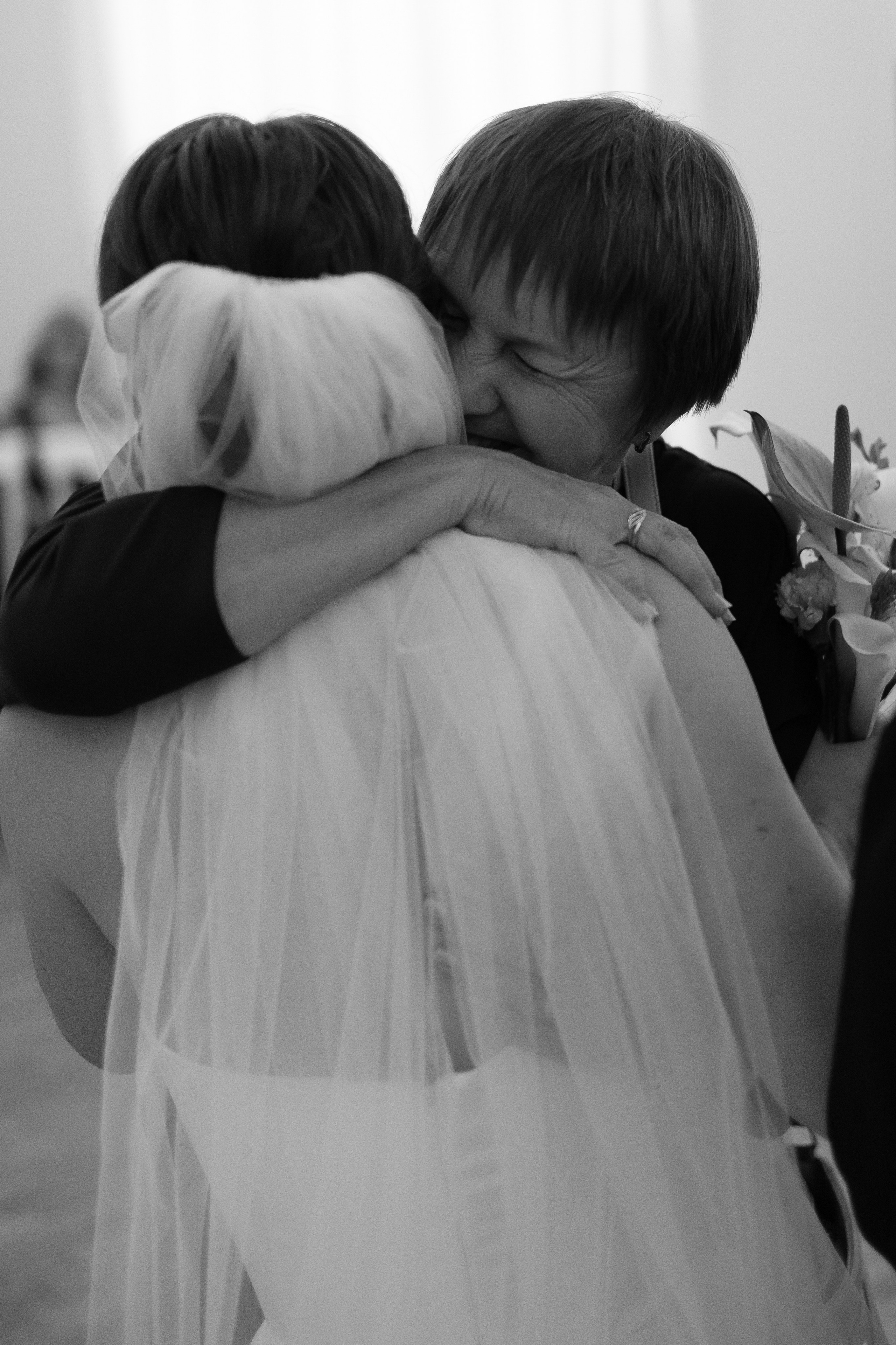 Серая кошка и рыжий кот. Свадебный и семейный фотограф Арина Кулёва