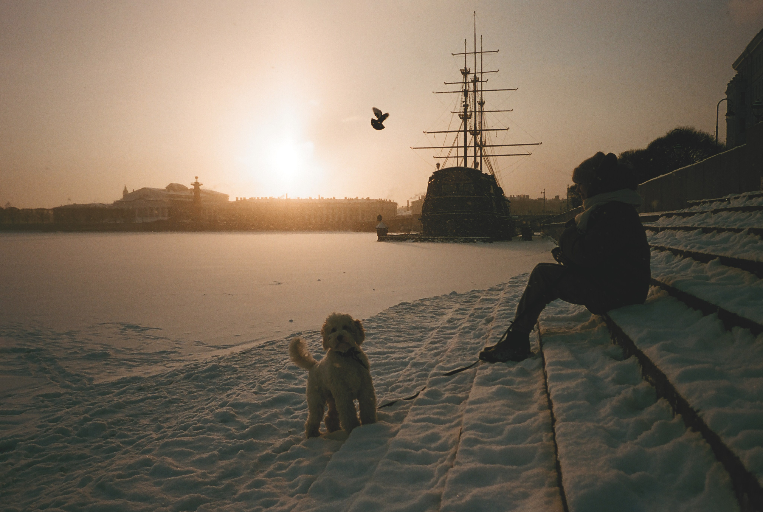 Фотографии цветные. Свадебный и семейный пленочный фотограф в Петербурге Истомина Ирина