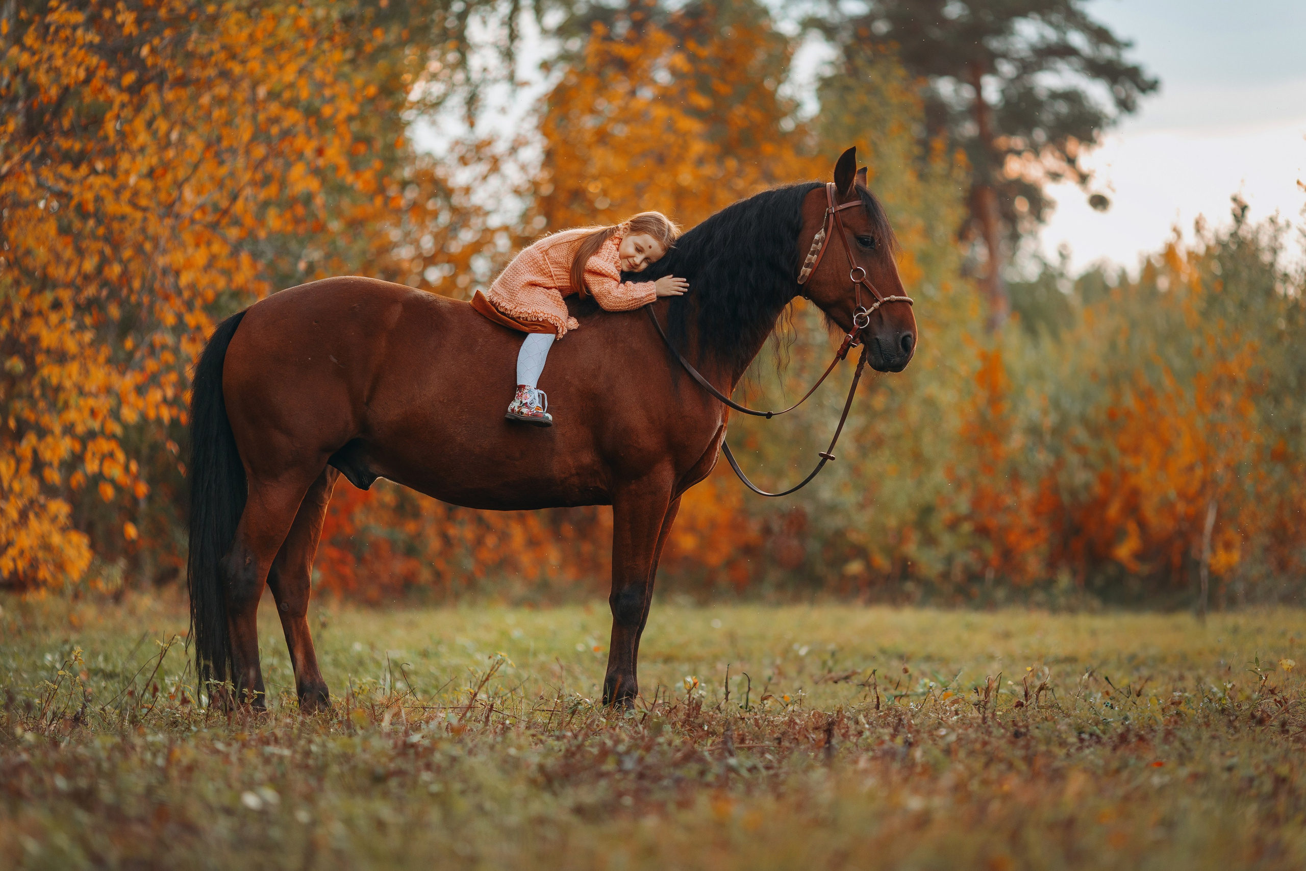 Для фотографов. Анна Молчанова конный фотограф в Тюмени | фотосессии с лошадьми Тюмень