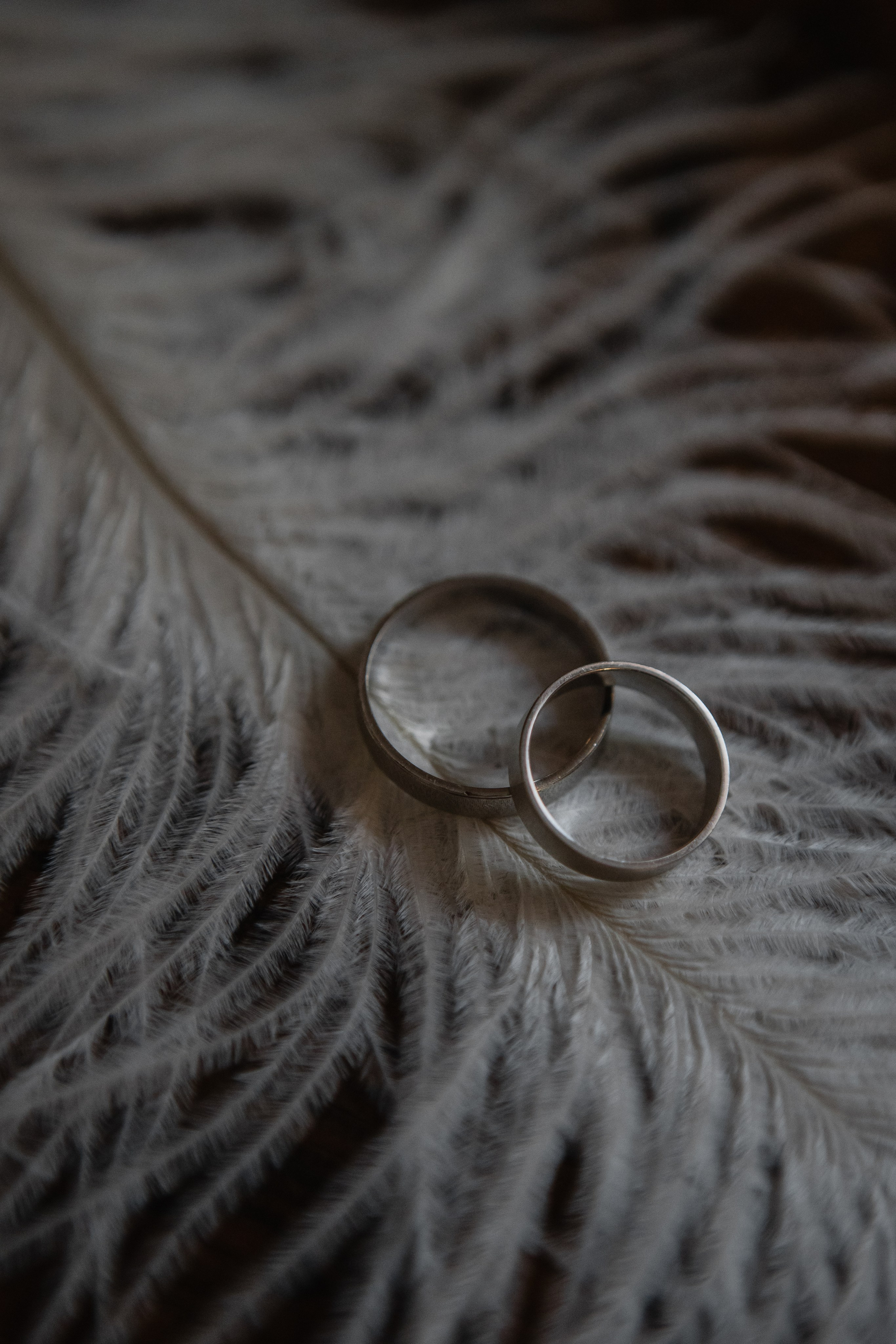 K&A. Свадебный и семейный фотограф Чижова Алина