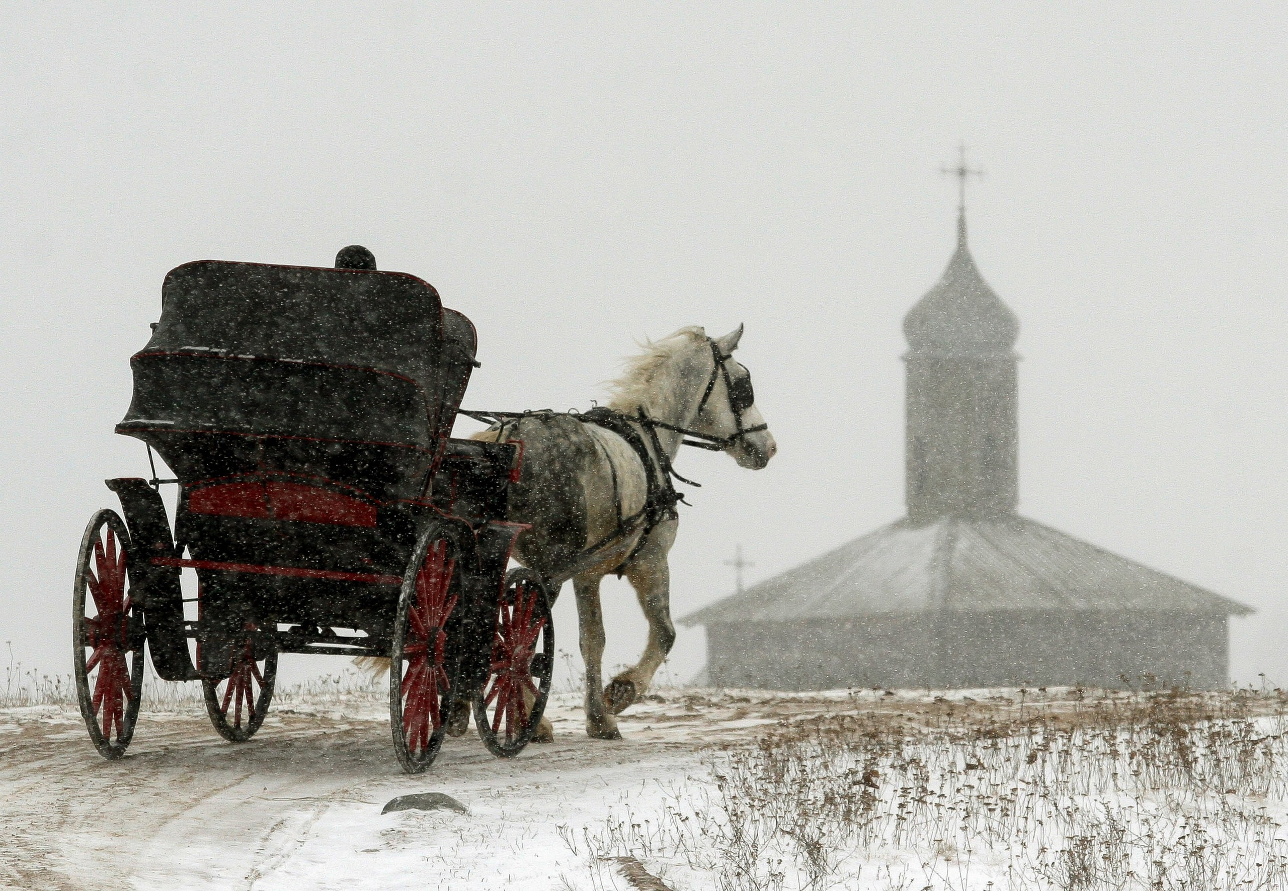 ПОРТФОЛИО/Журналистика. Репортажный фотограф в Минске. Алексей Матюшков