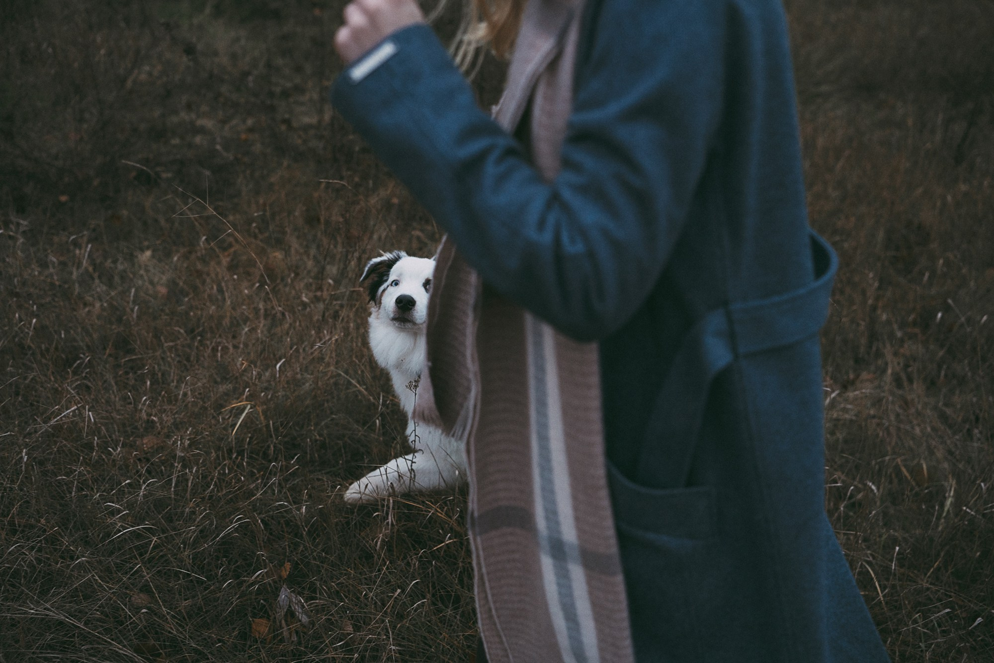 Лиза и Бублик. Фотограф анималист в Москве и Санкт-Петербурге Свиридова Анна
