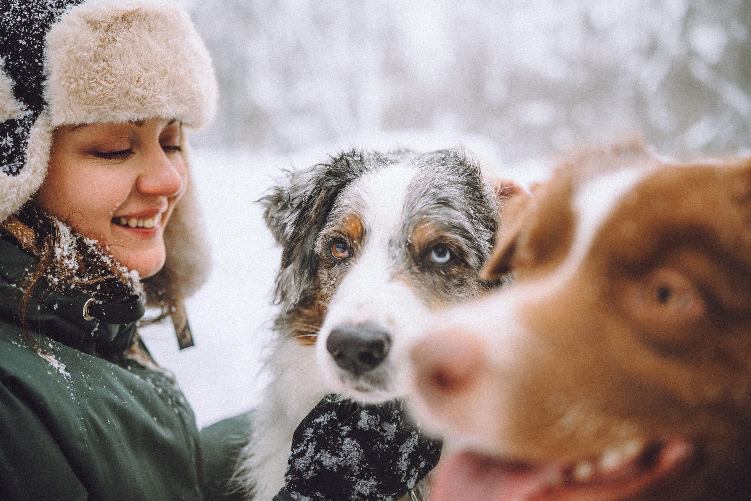 Лена, Принц и Фенек