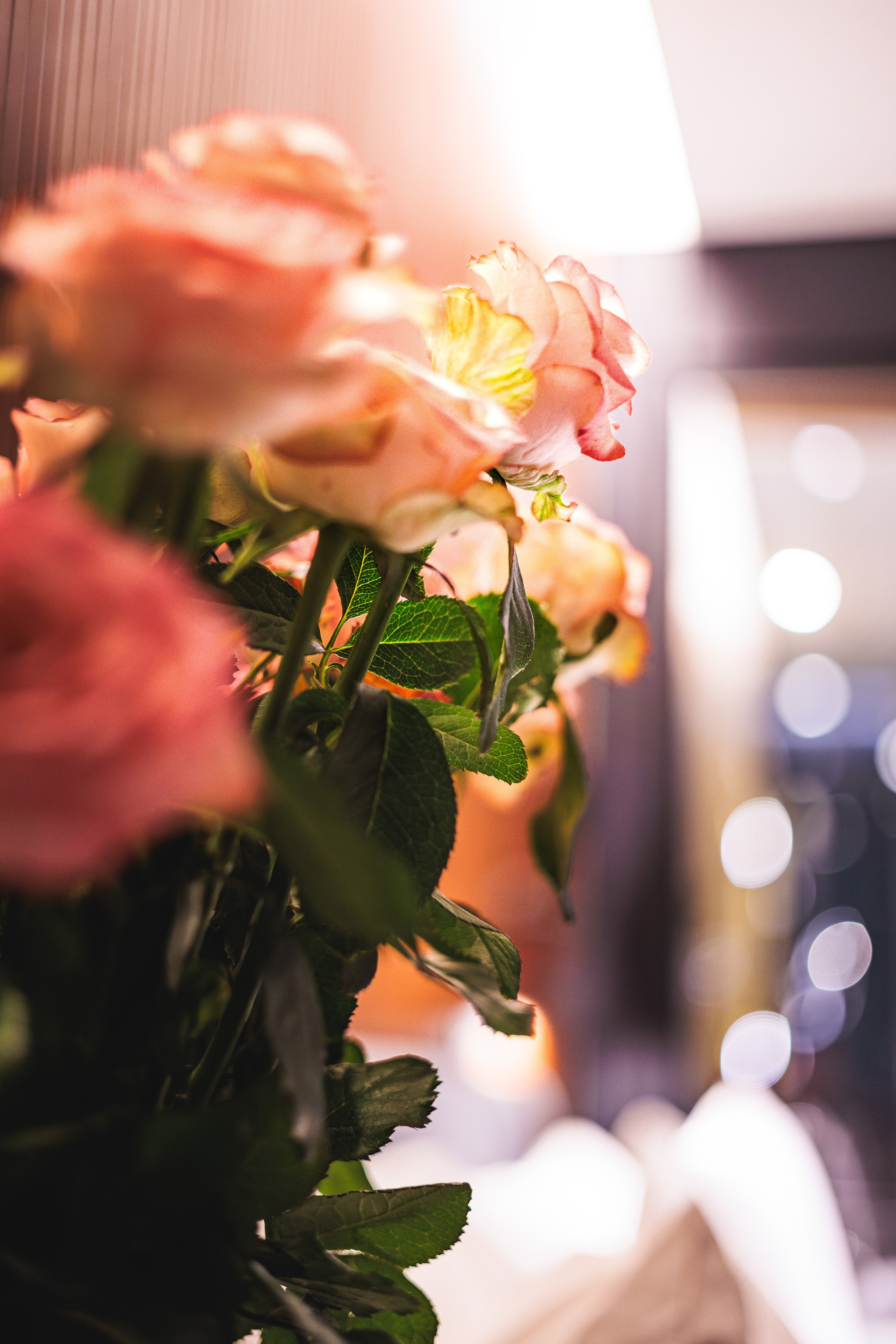 Сайт о фотографии, Москва