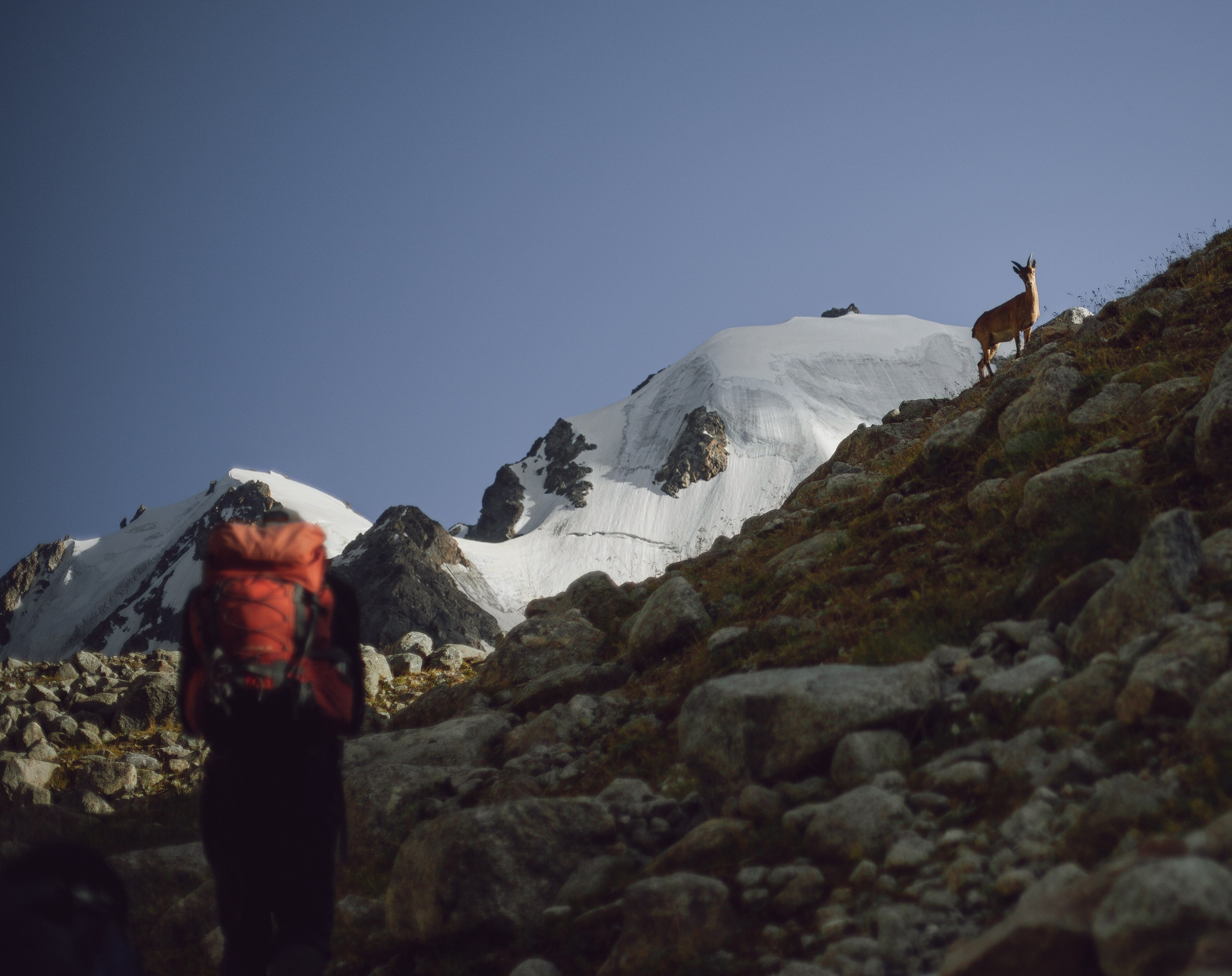 Восхождение на Эльбрус с юга. Уникальные экспедиции — LUCKY CLAN