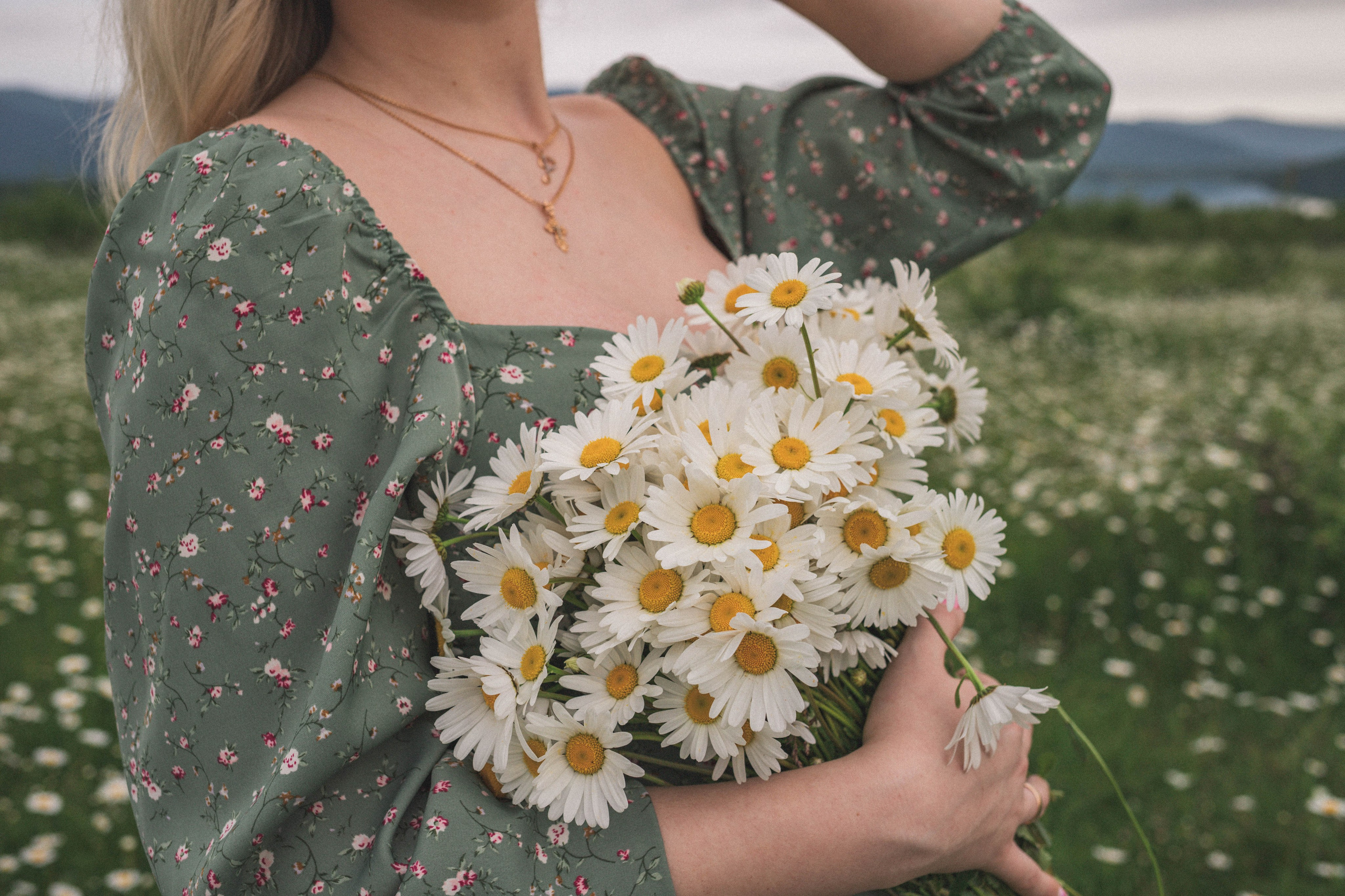 РОМАШКИ. Фотограф Немазенко Ольга