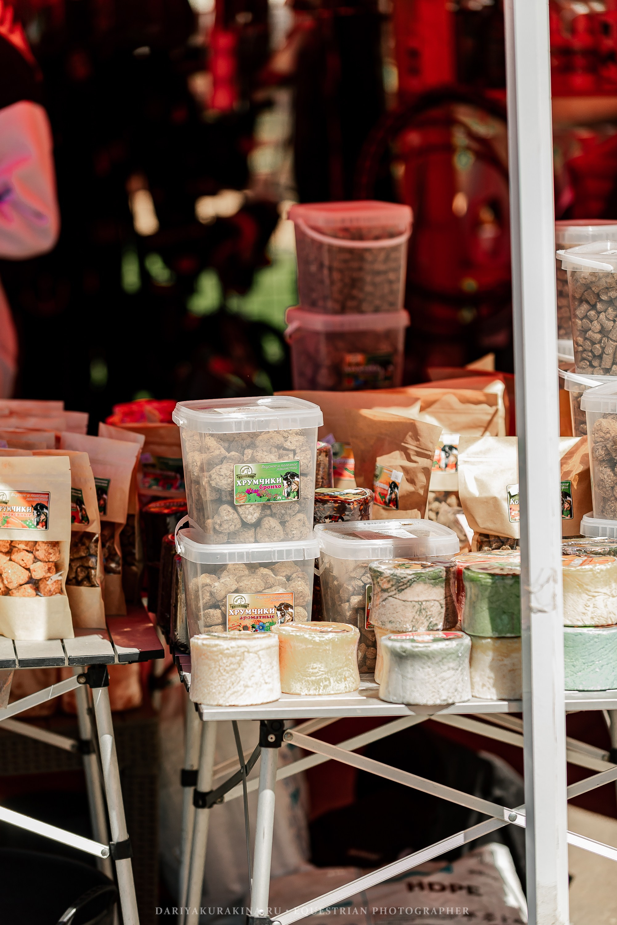 #ПОНИФОРУМ 2024. Конный фотограф Куракина Дарья • Фотосессии с лошадьми