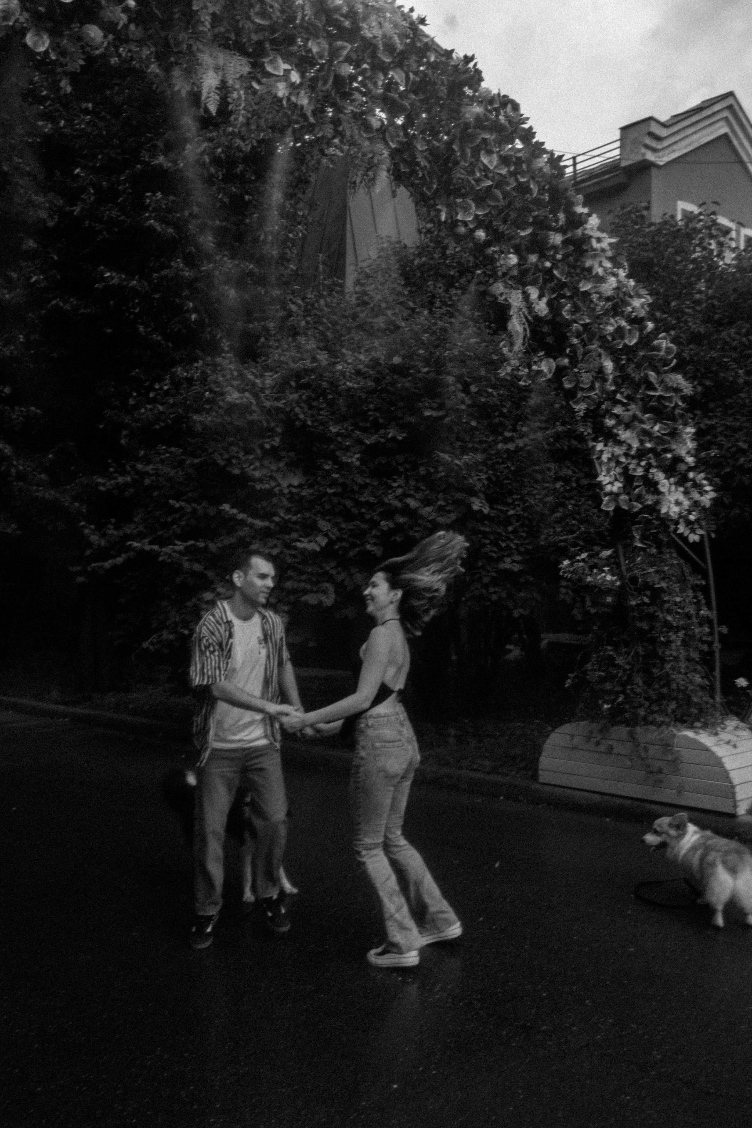 Брюс, Вейв и их ро. Фотораф — анималист Мария Шистка