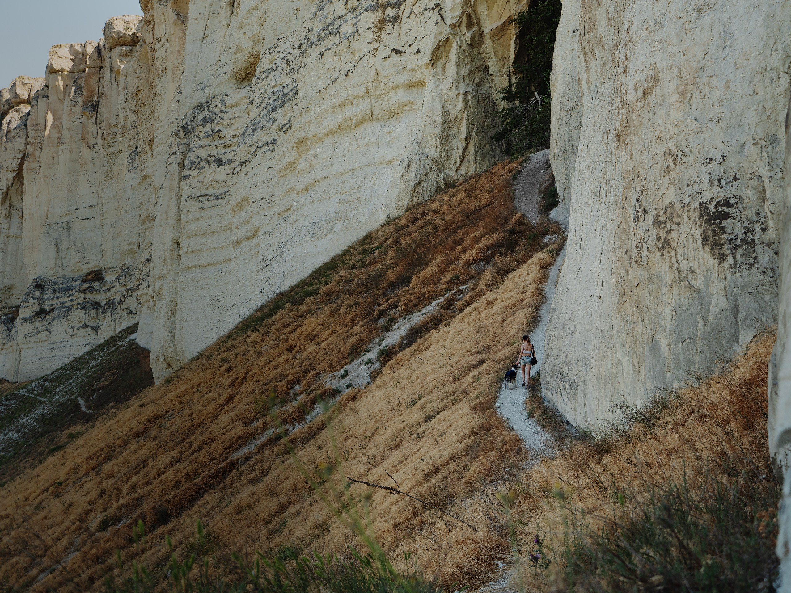 Крым. Фотограф анималист Никита Натальный