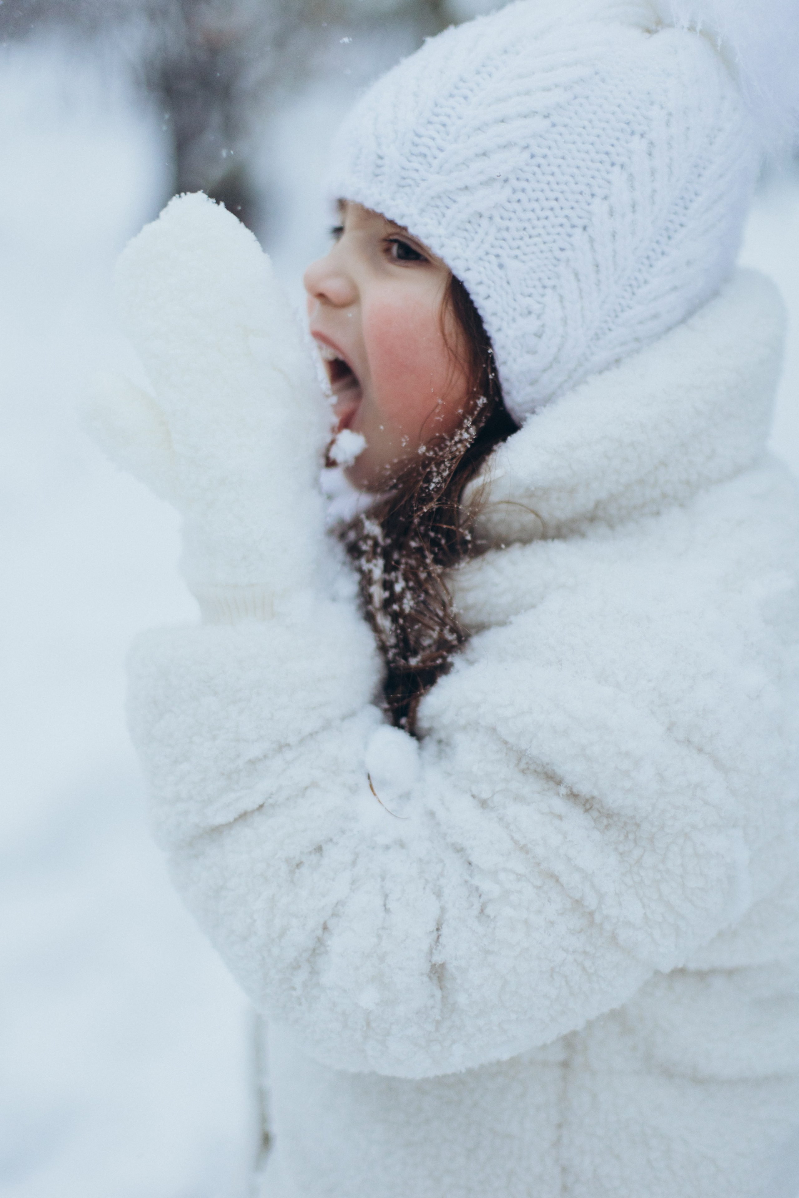 Зимняя история