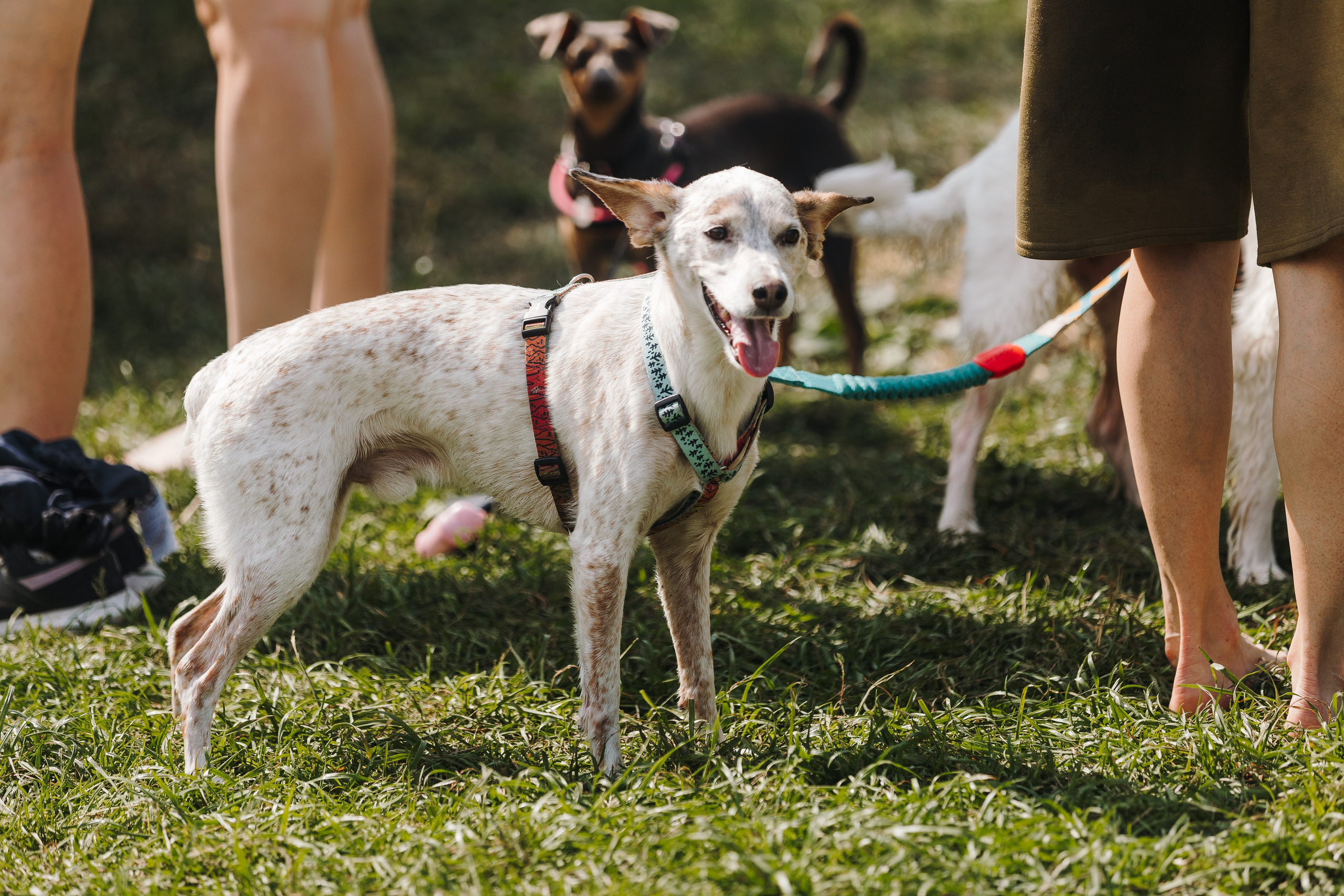 Petshop Sup day. Фотограф анималист Кристина Карпова, Москва