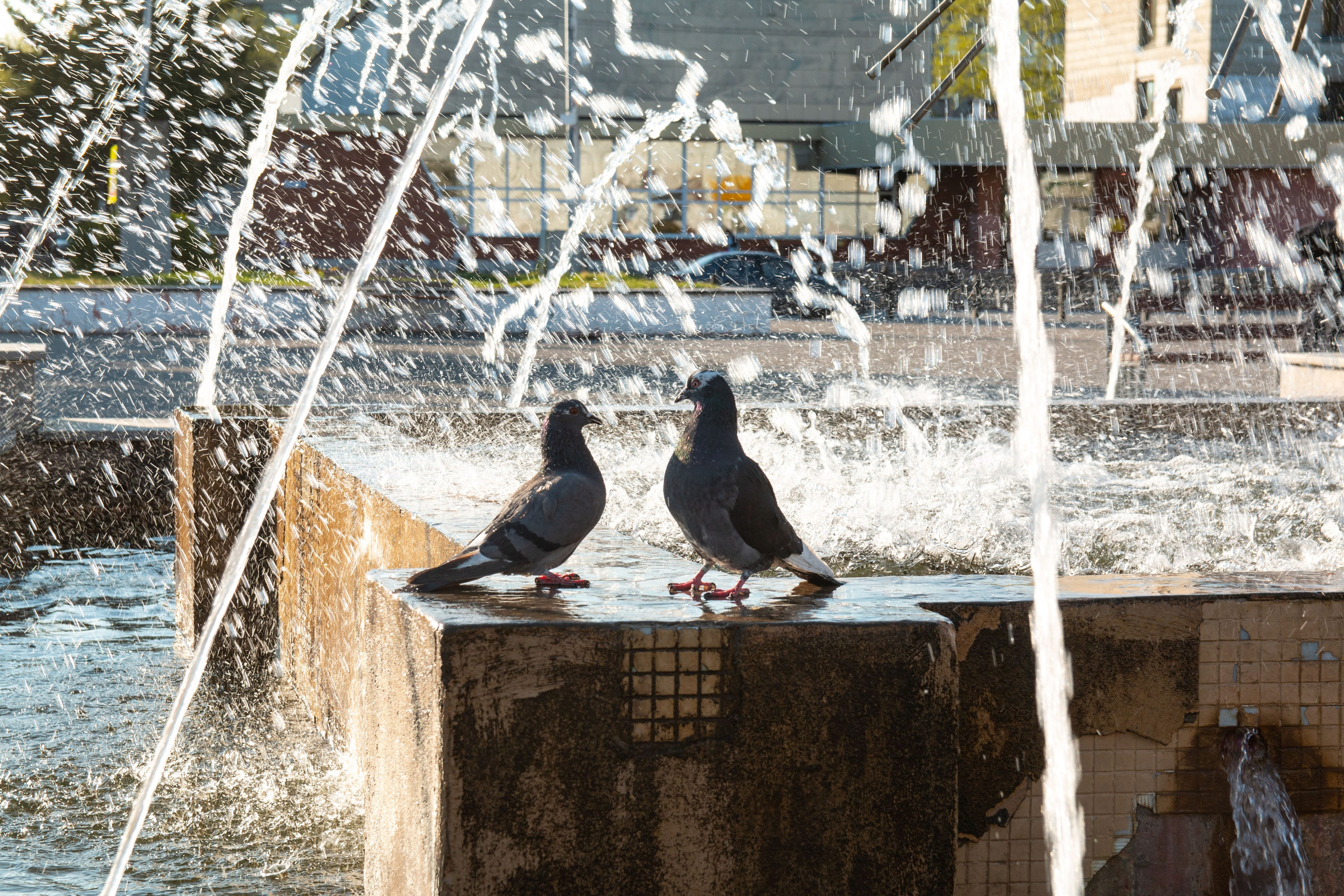 Весна. Ваш фотограф Северск | Томск