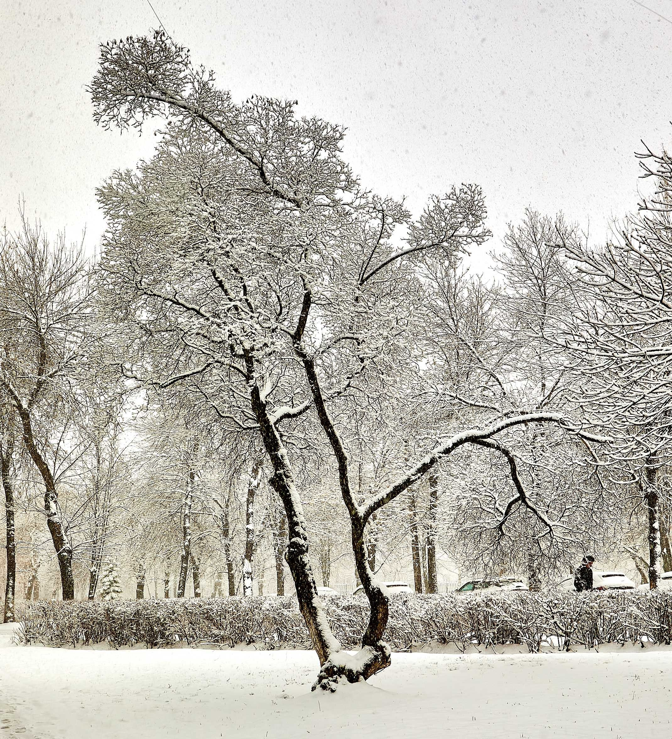 Видовые фото УГНТУ. УГНТУ — Ведущий нефтегазовый вуз России