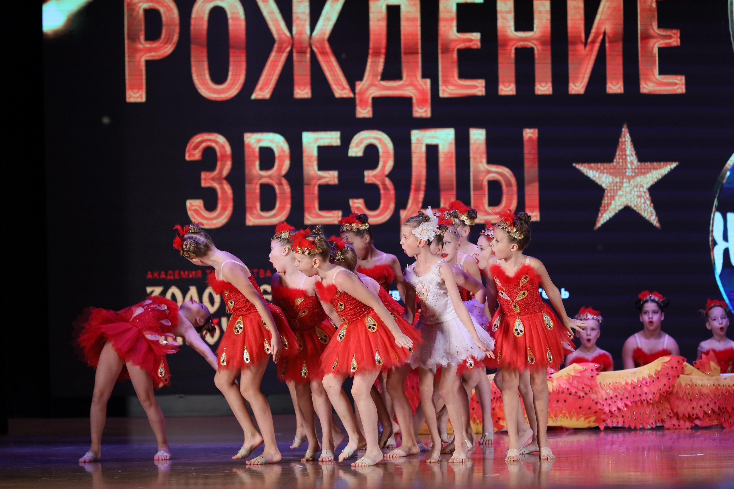 4 ноября, блок 1, видео, номера 14-29, г. Краснодар. Золотое яблочко