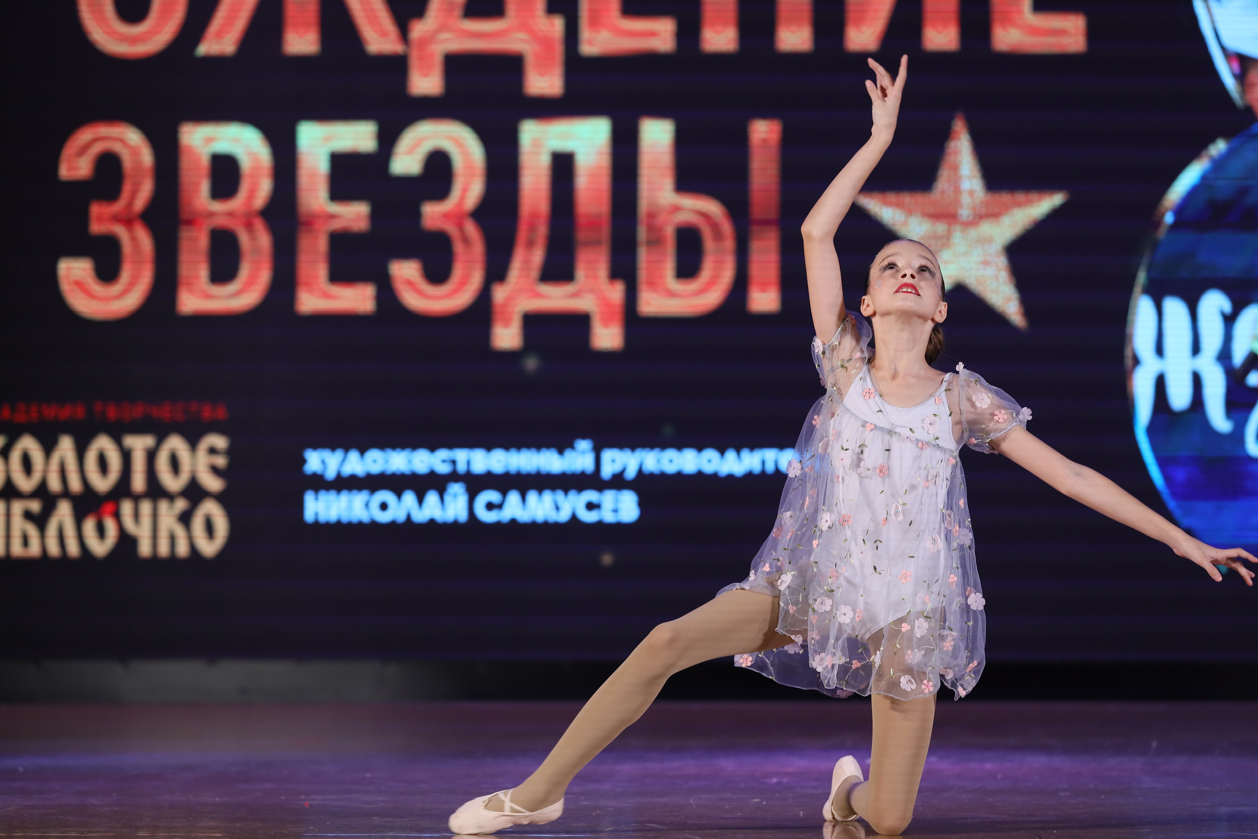 4 ноября, блок 1, видео, номера 59-, г. Краснодар. Золотое яблочко