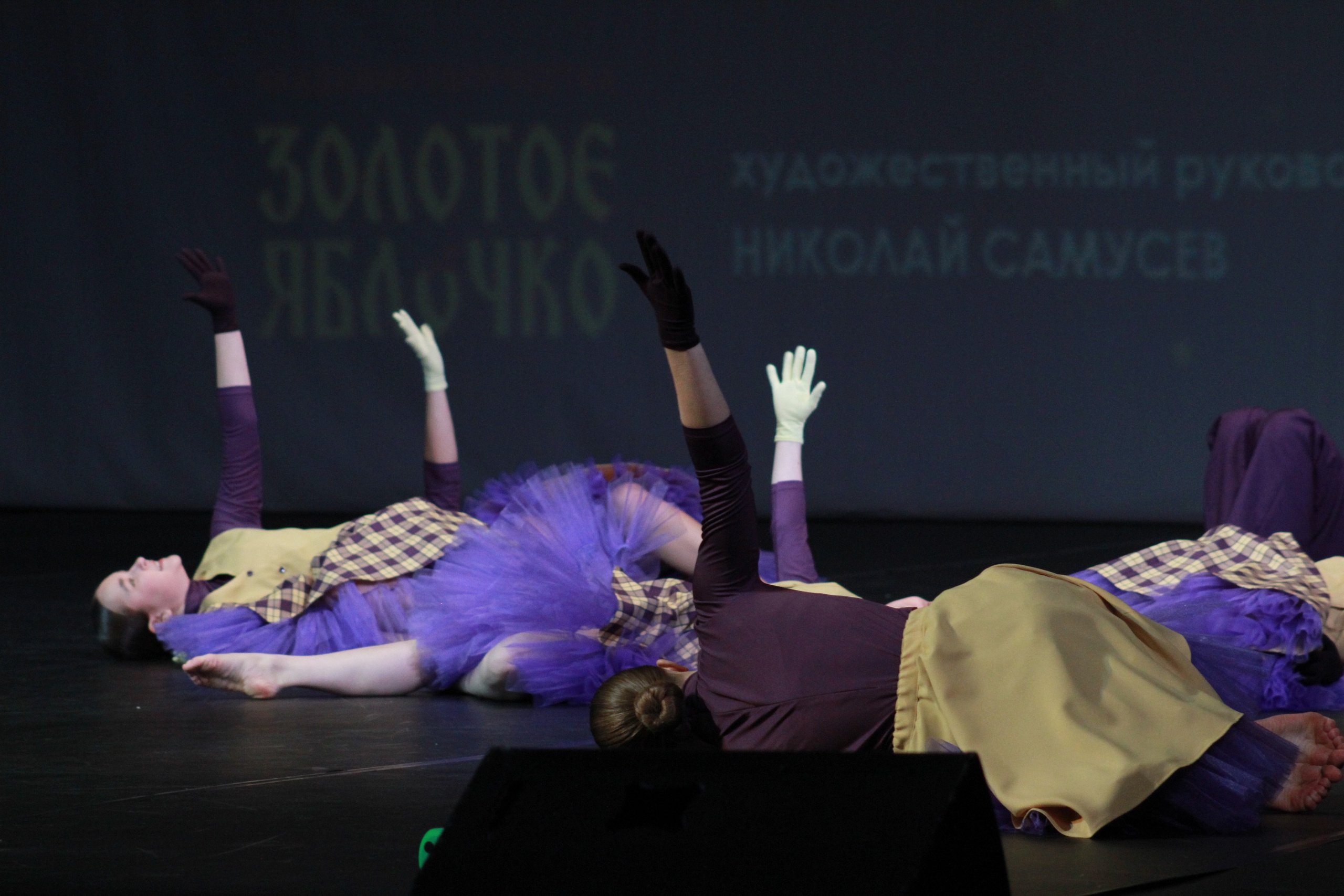 15 декабря, г. Архангельск. Золотое яблочко