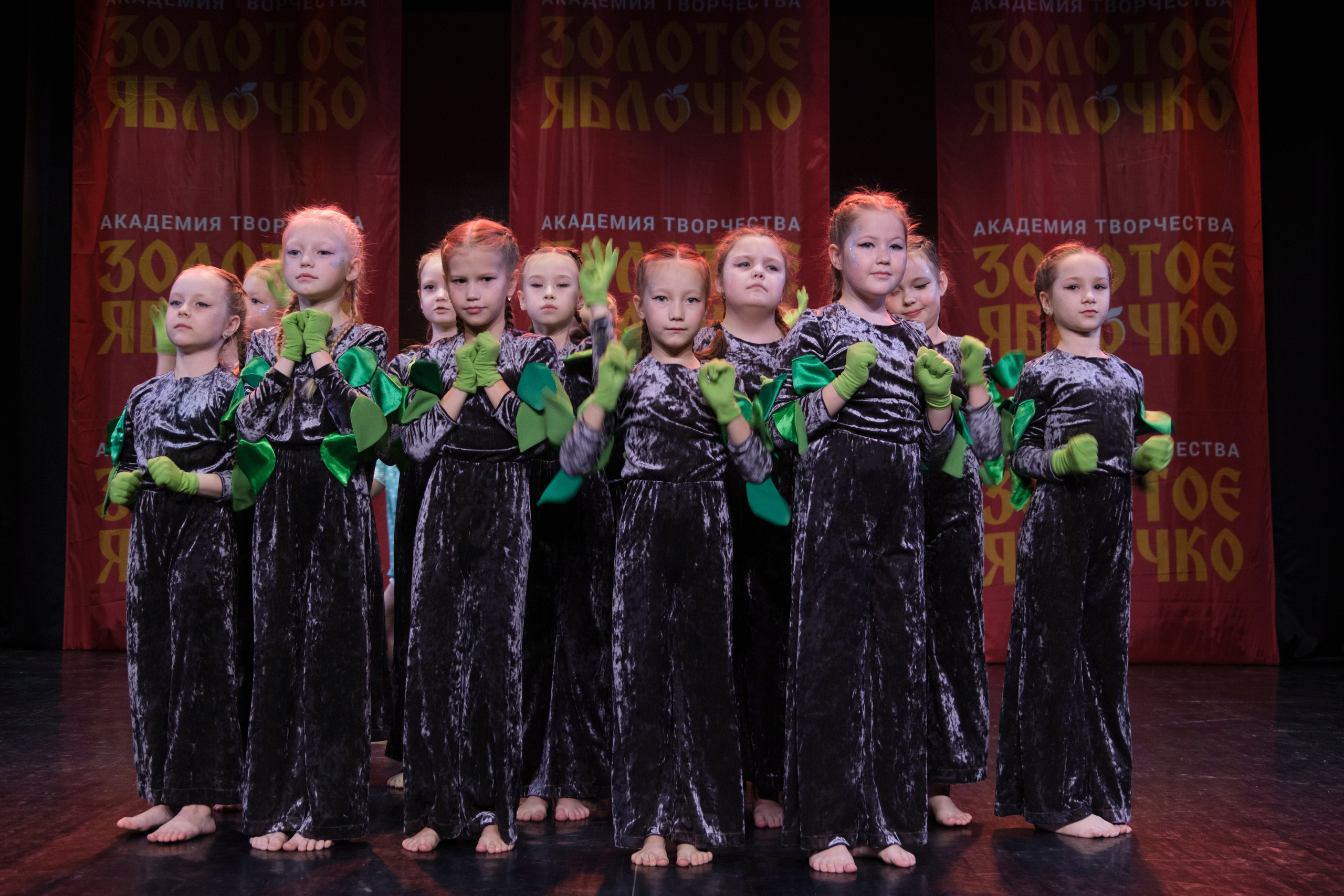 17 ноября, г. Великий Устюг. Золотое яблочко