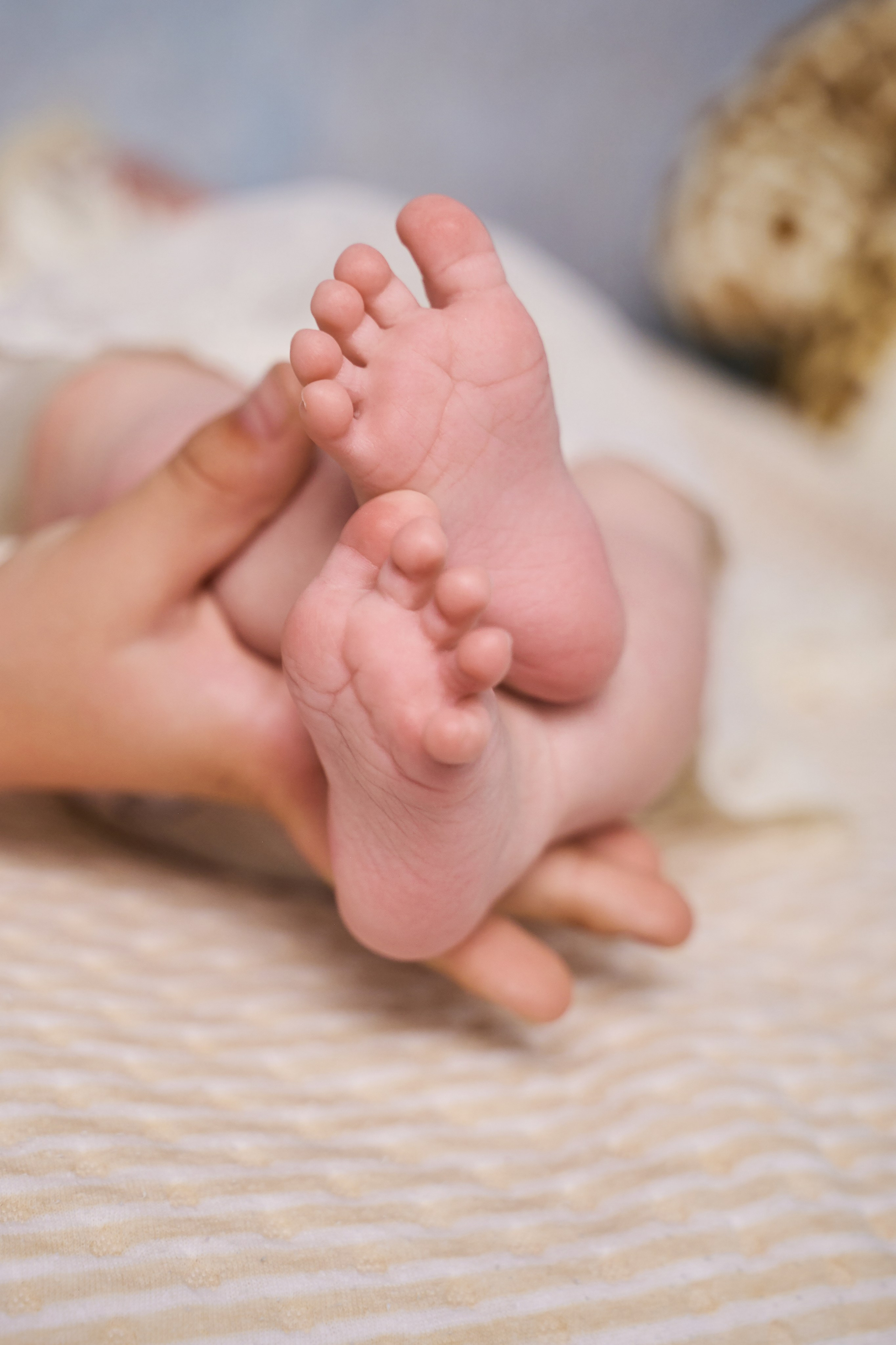 Домашняя съемка. Школьный и семейный фотограф/видеограф в г. Курганинске