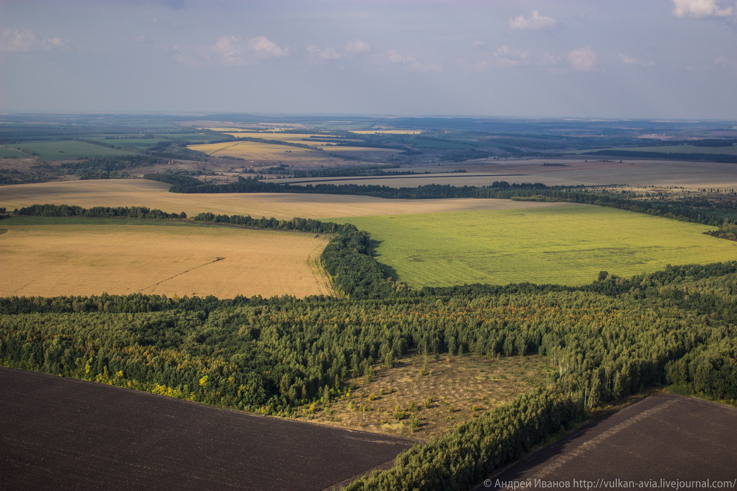 Волгодонск аэр. Потапов слёт «Небо для всех» (2021 г.). Фотоальбом показывающий увлекательный мир авиации и мир медведей Андрея Иванова