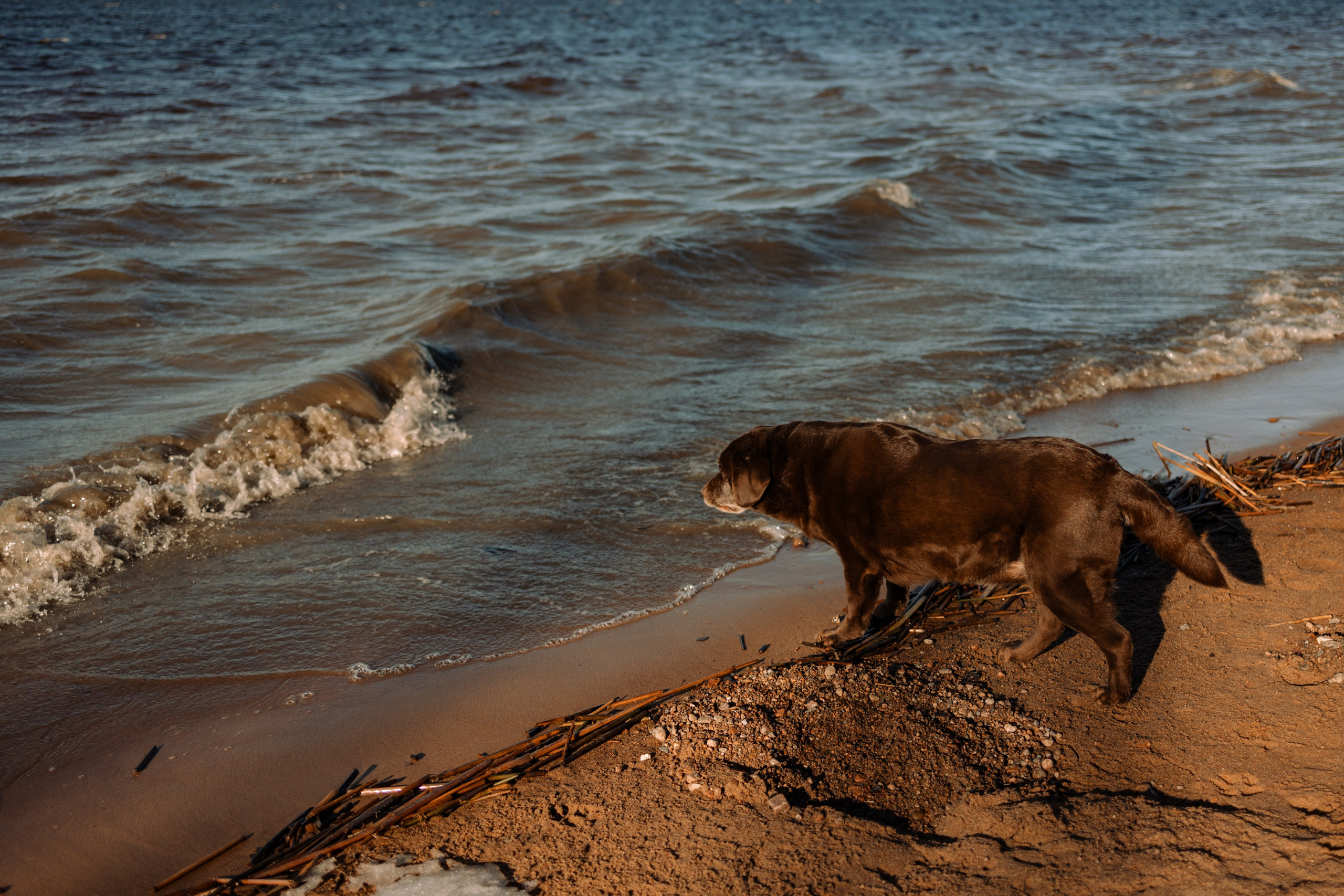 Оля и Питоня. Фотограф — Анималист | Санкт-Петербург