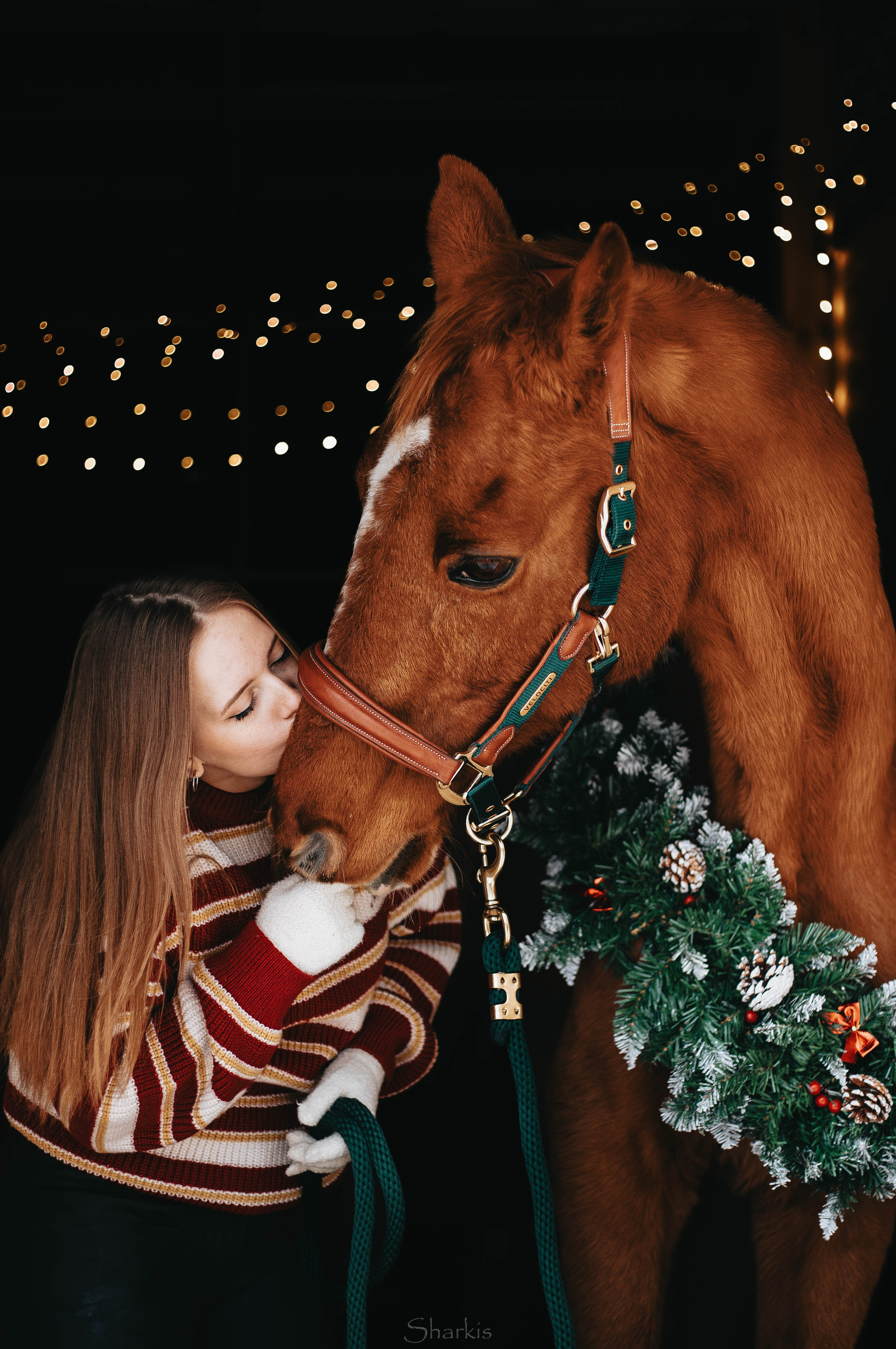 Фото день в ЧК «Орлёнок» — Новый год. Главная