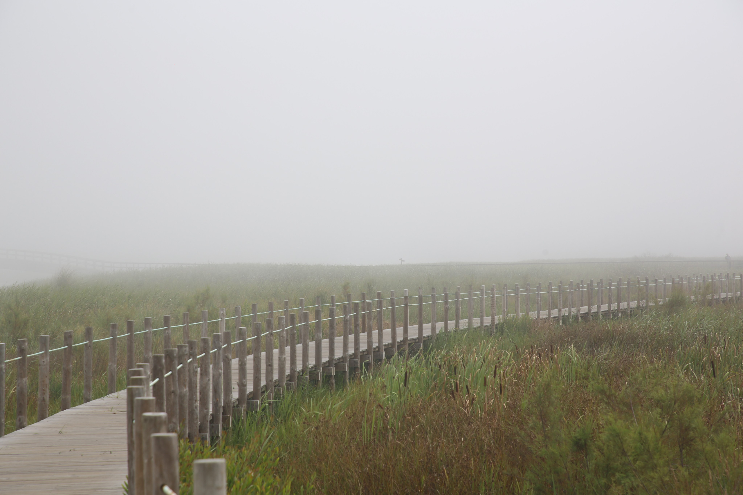 Esmoriz, Portugal. Andrey Filippov Photographer