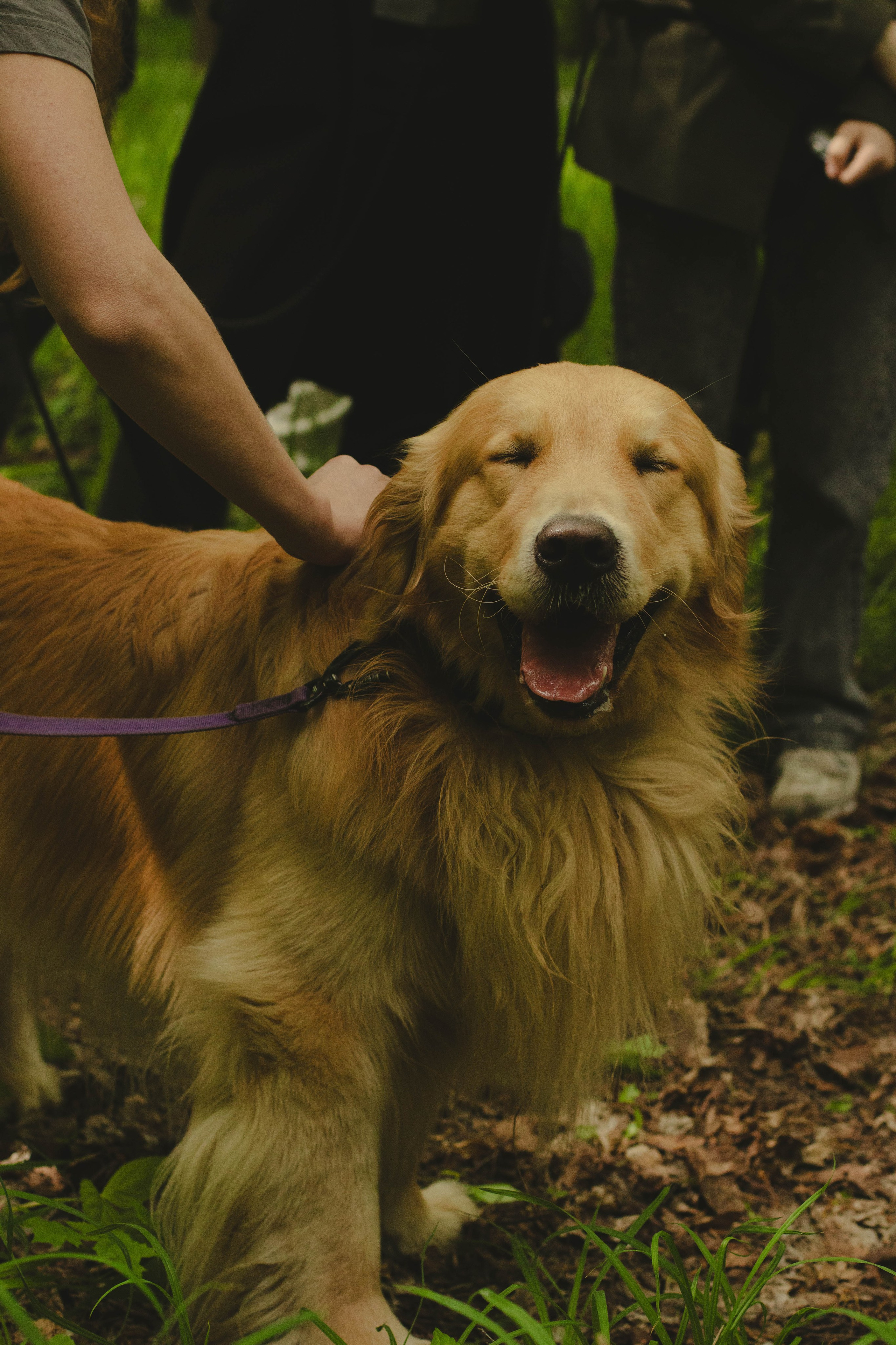 К/Ф «Надежда». Фотограф в Москве Ксюшенька