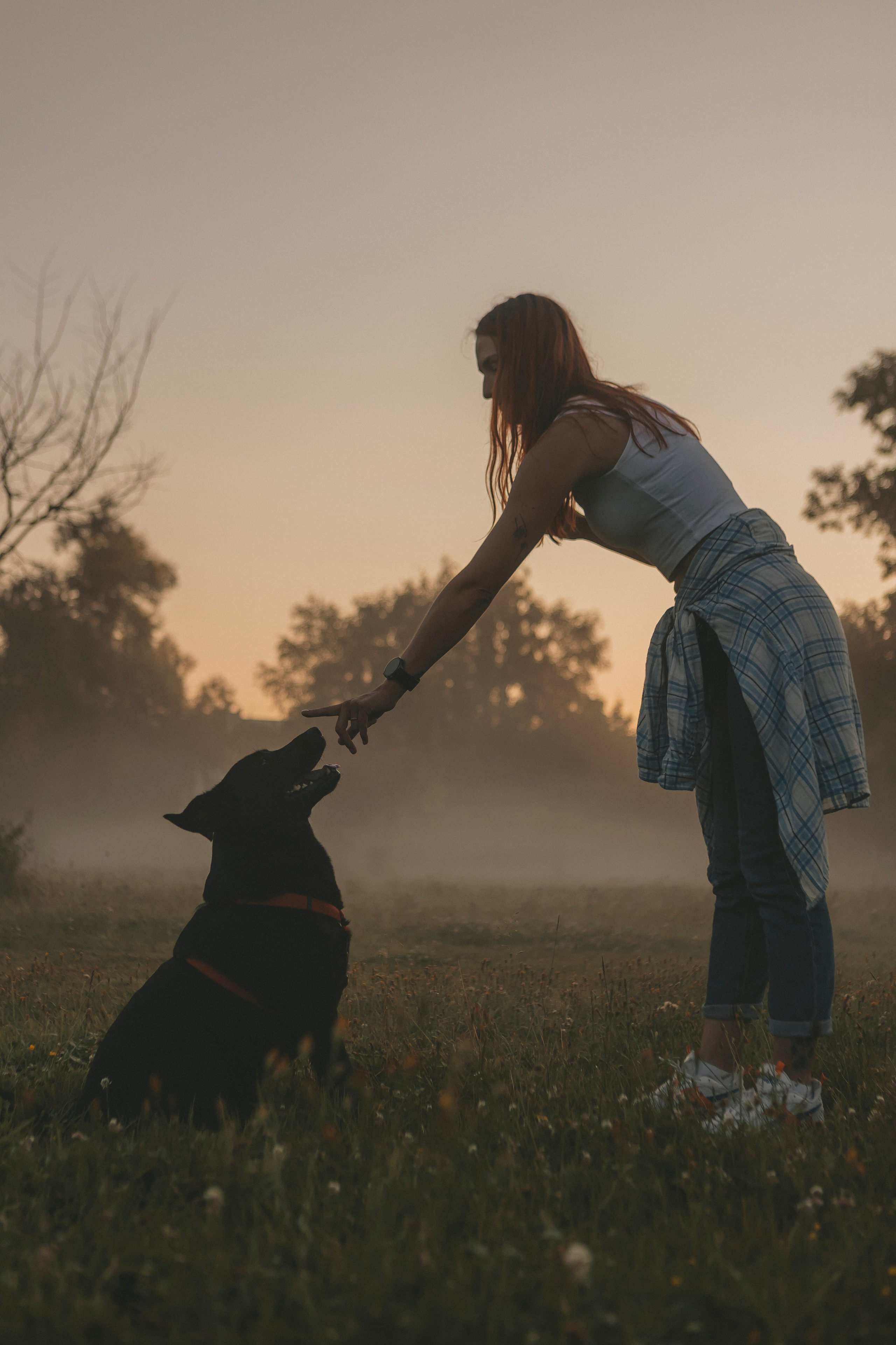 Саша и Дана. Фотограф-анималист в Санкт-Петербурге Алина Яхонт